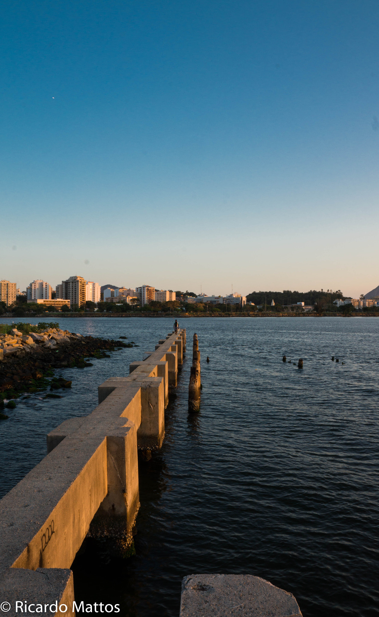 Sony Alpha a5000 (ILCE 5000) + Sony E 18-55mm F3.5-5.6 OSS sample photo. Feedo photography