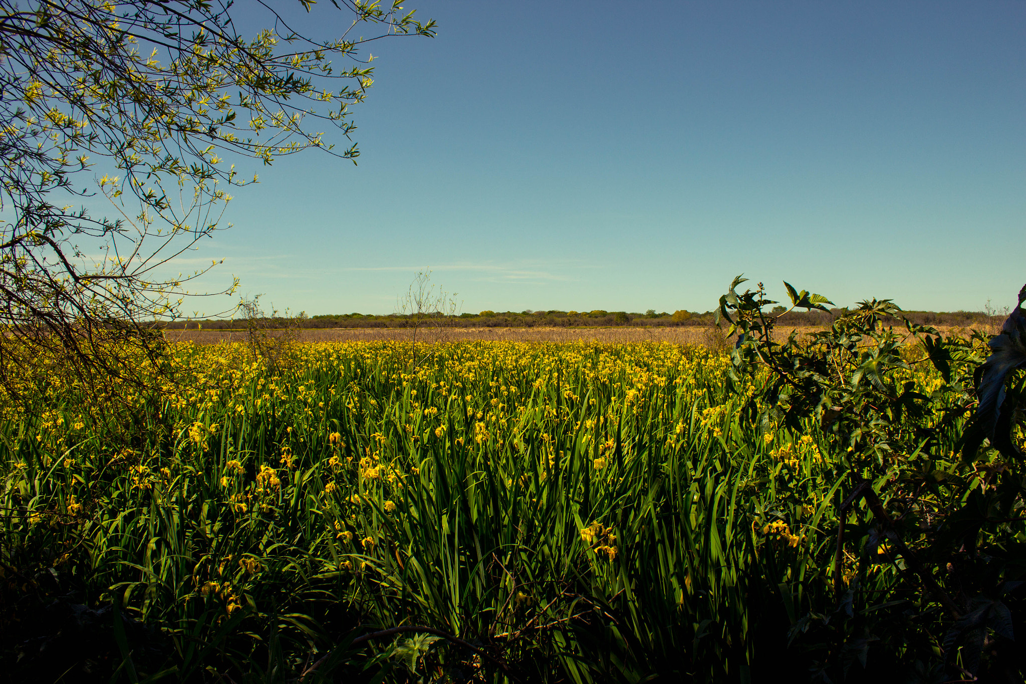 Canon EF-S 18-55mm F3.5-5.6 IS sample photo. Landscape photography