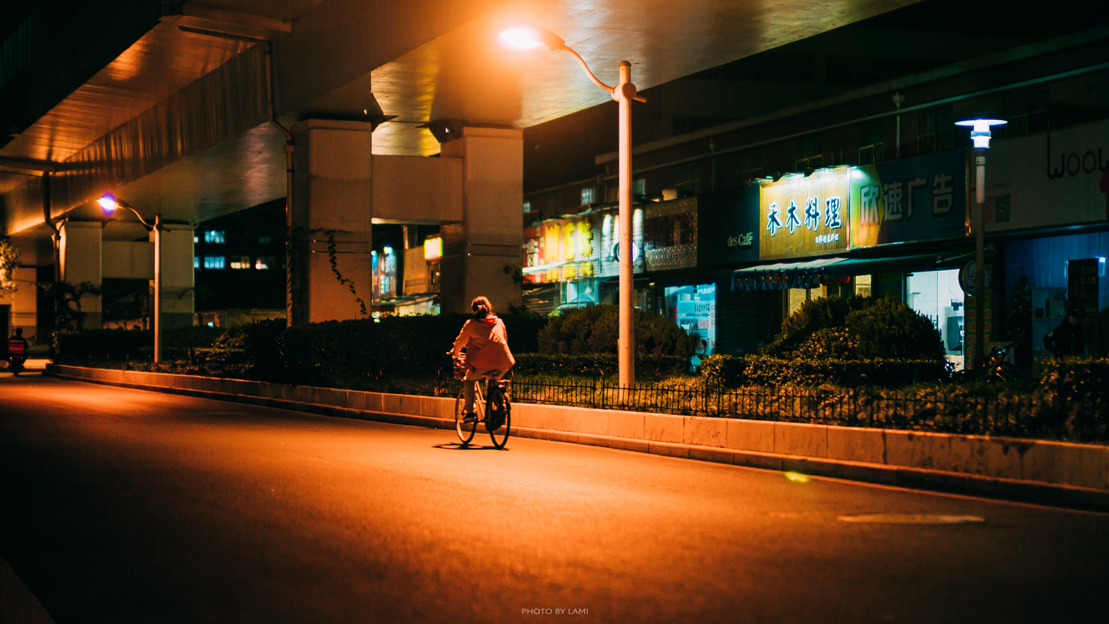 Leica Noctilux-M 50mm F0.95 ASPH sample photo. Snap1010-4 photography