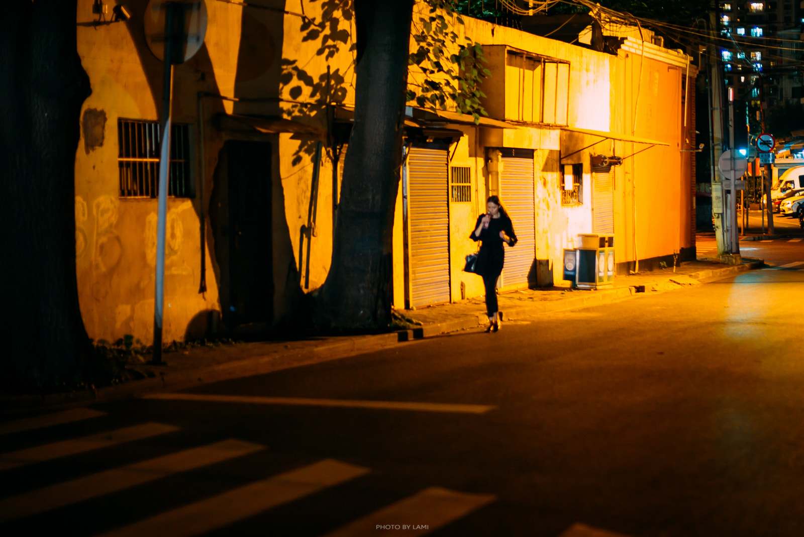 Leica Noctilux-M 50mm F0.95 ASPH sample photo. Snap1010-6 photography