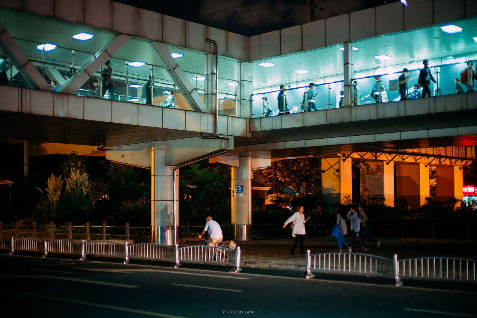 Leica Noctilux-M 50mm F0.95 ASPH sample photo. Snap1010-7 photography