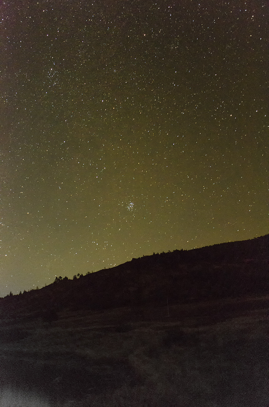 Sigma 18-50mm F2.8-4.5 DC OS HSM sample photo. Dava night photography