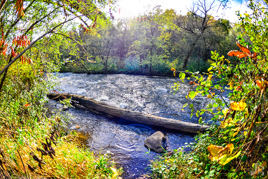 Nikon D610 + Nikon AF Fisheye-Nikkor 16mm F2.8D sample photo. Minne haha creek photography