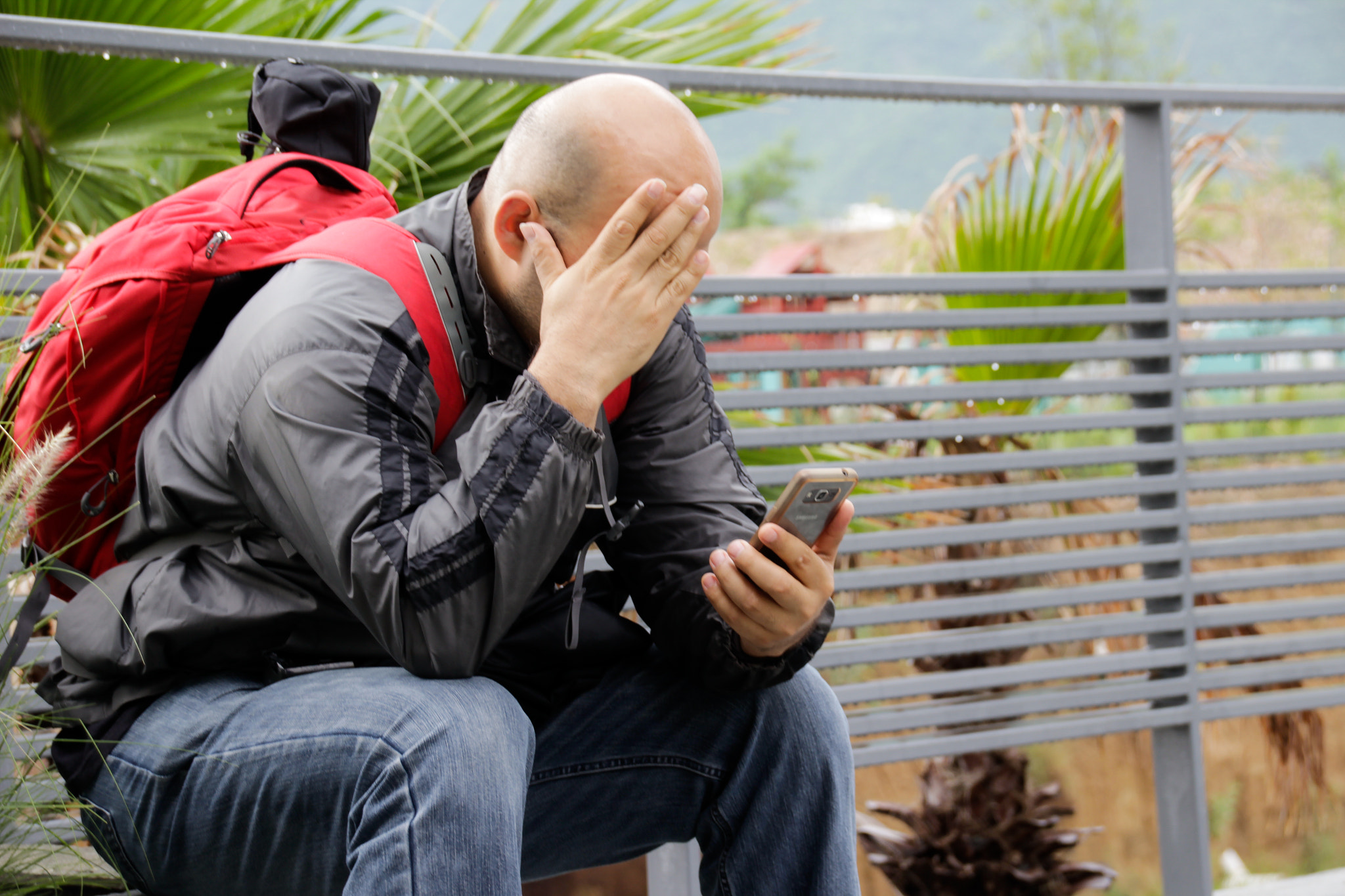 Sigma 18-250mm F3.5-6.3 DC OS HSM sample photo. Lamenting man looking at smartphone photography
