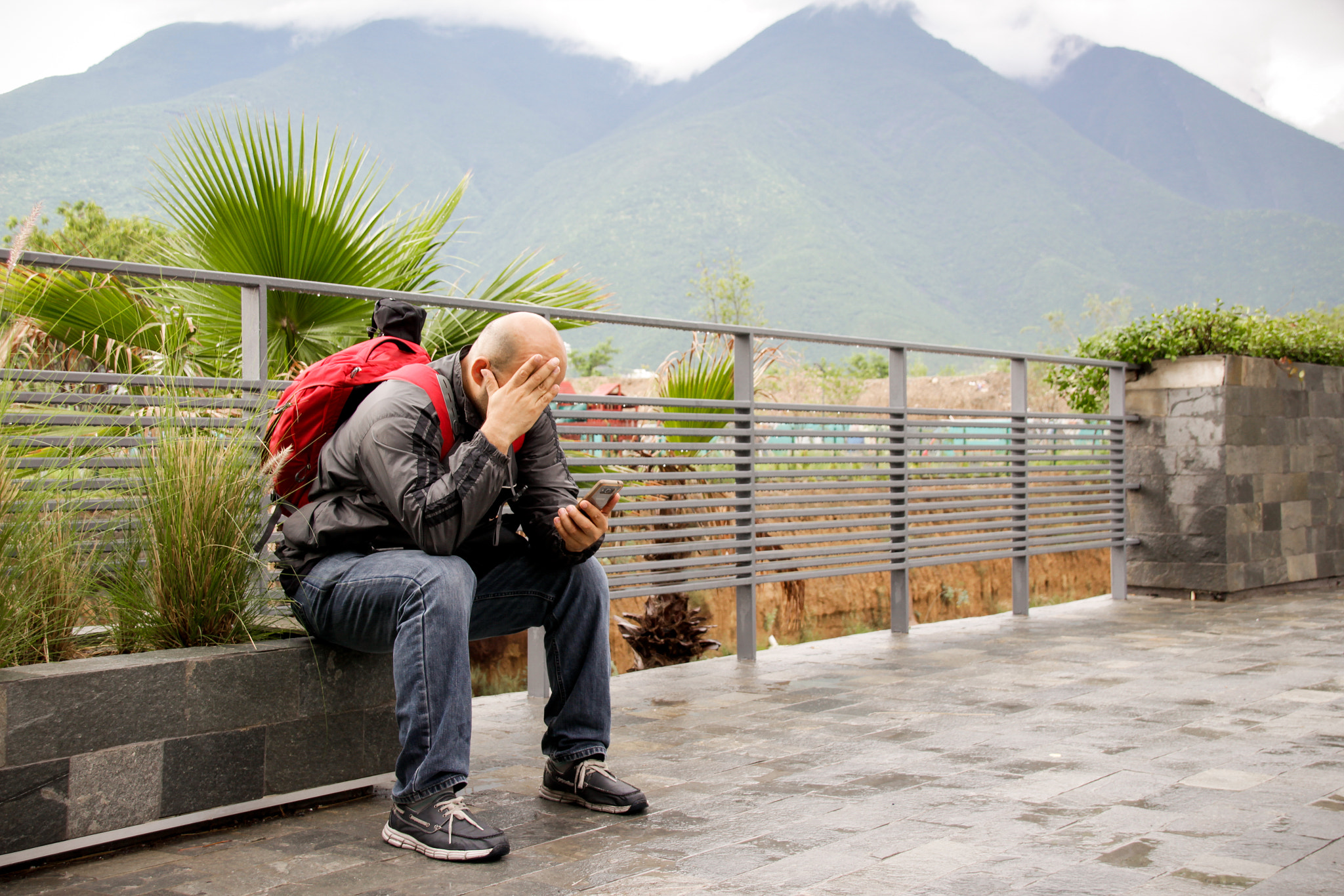 Sigma 18-250mm F3.5-6.3 DC OS HSM sample photo. Lamenting man looking at smartphone photography
