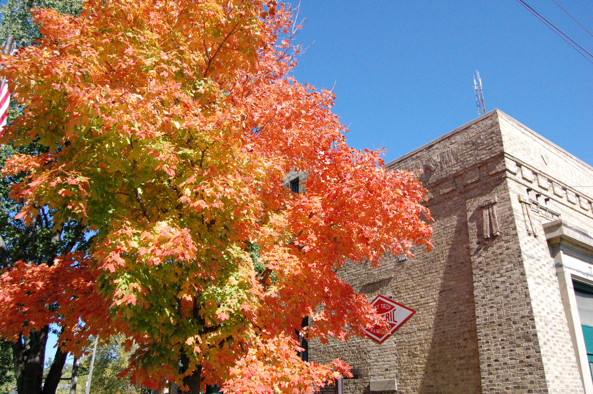 Nikon D50 sample photo. Color tree at et depot photography