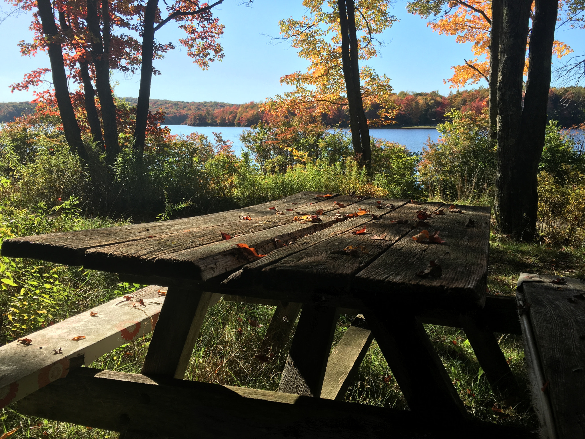 Lake Peace