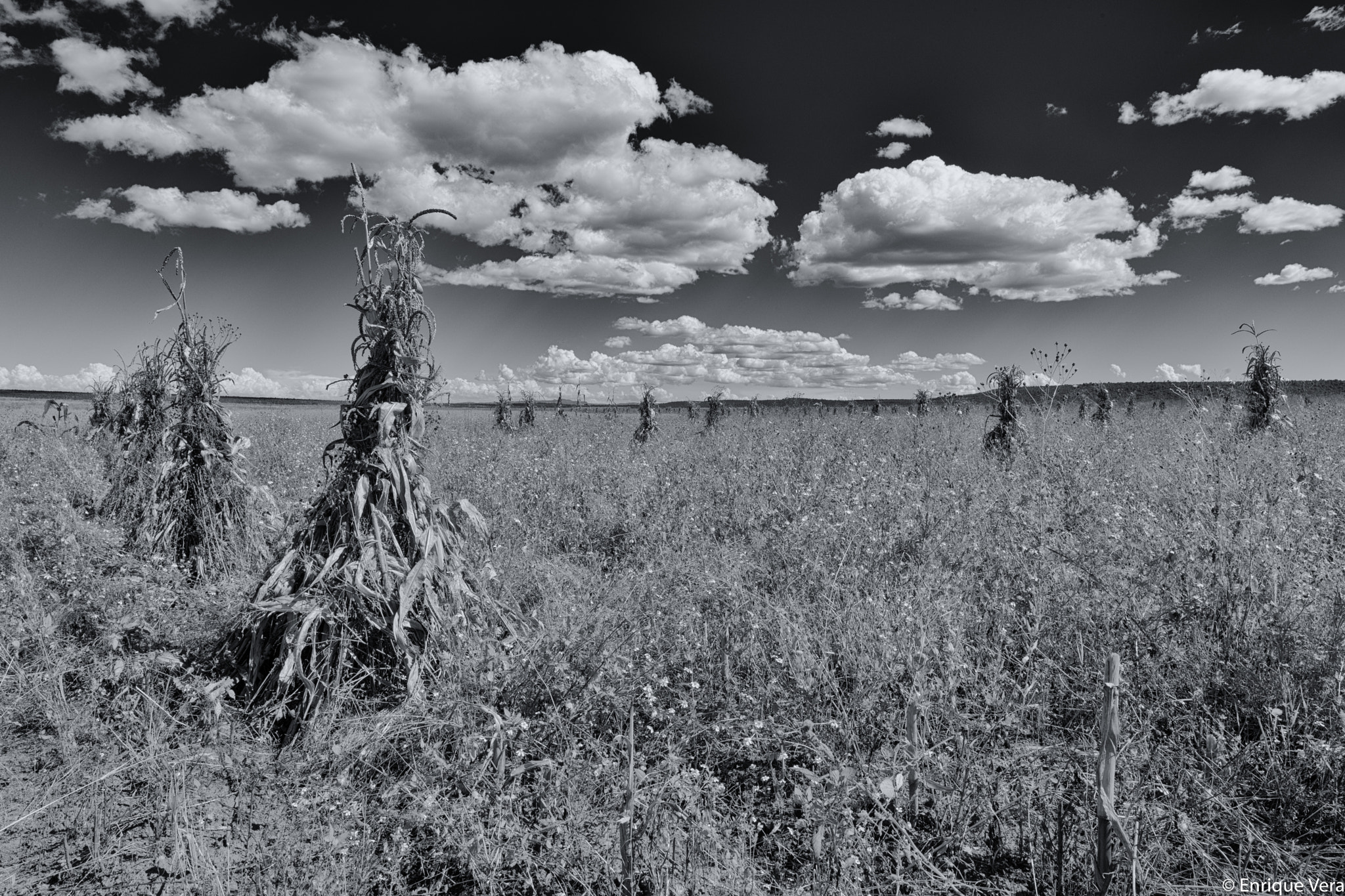 Canon EOS 6D sample photo. Los hombres de maiz (blanco y negro) photography