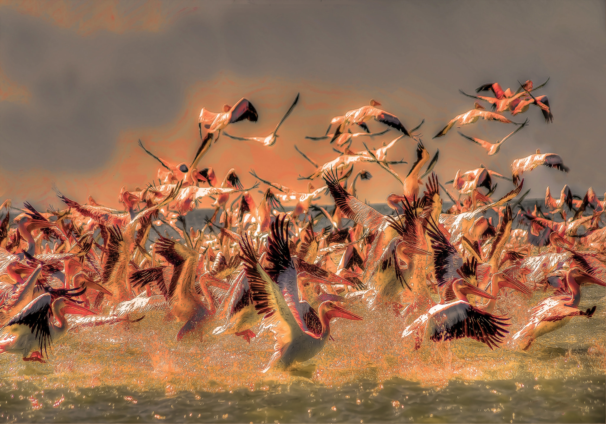 Sigma 70-300mm F4-5.6 APO DG Macro sample photo. Pop art pelicans photography