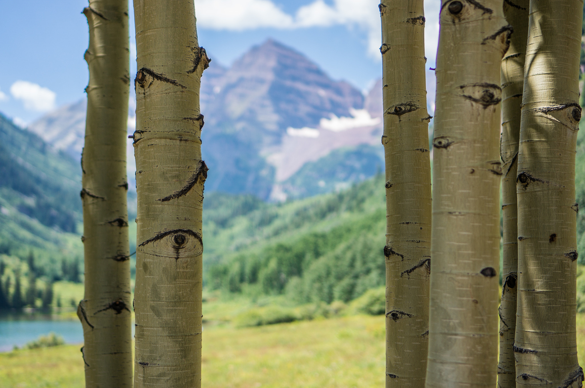 Sony Alpha NEX-6 + Sony E 35mm F1.8 OSS sample photo. Aspen trees at maroon bells photography