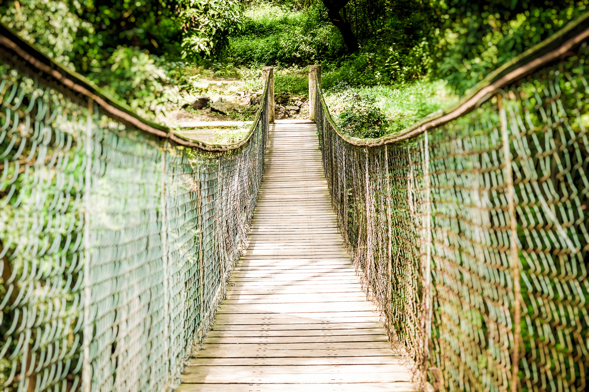 Pentax Q7 sample photo. Bridge photography