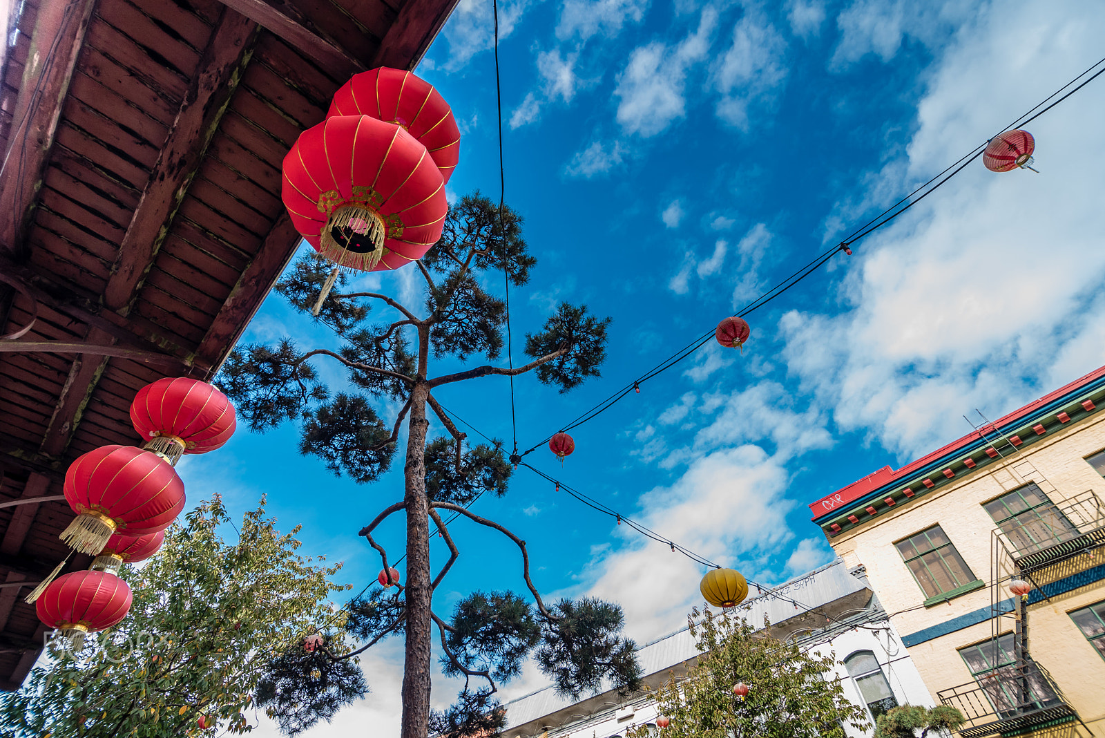 Tokina AT-X Pro 11-16mm F2.8 DX sample photo. Fan tan alley in chinatown, victoria bc photography