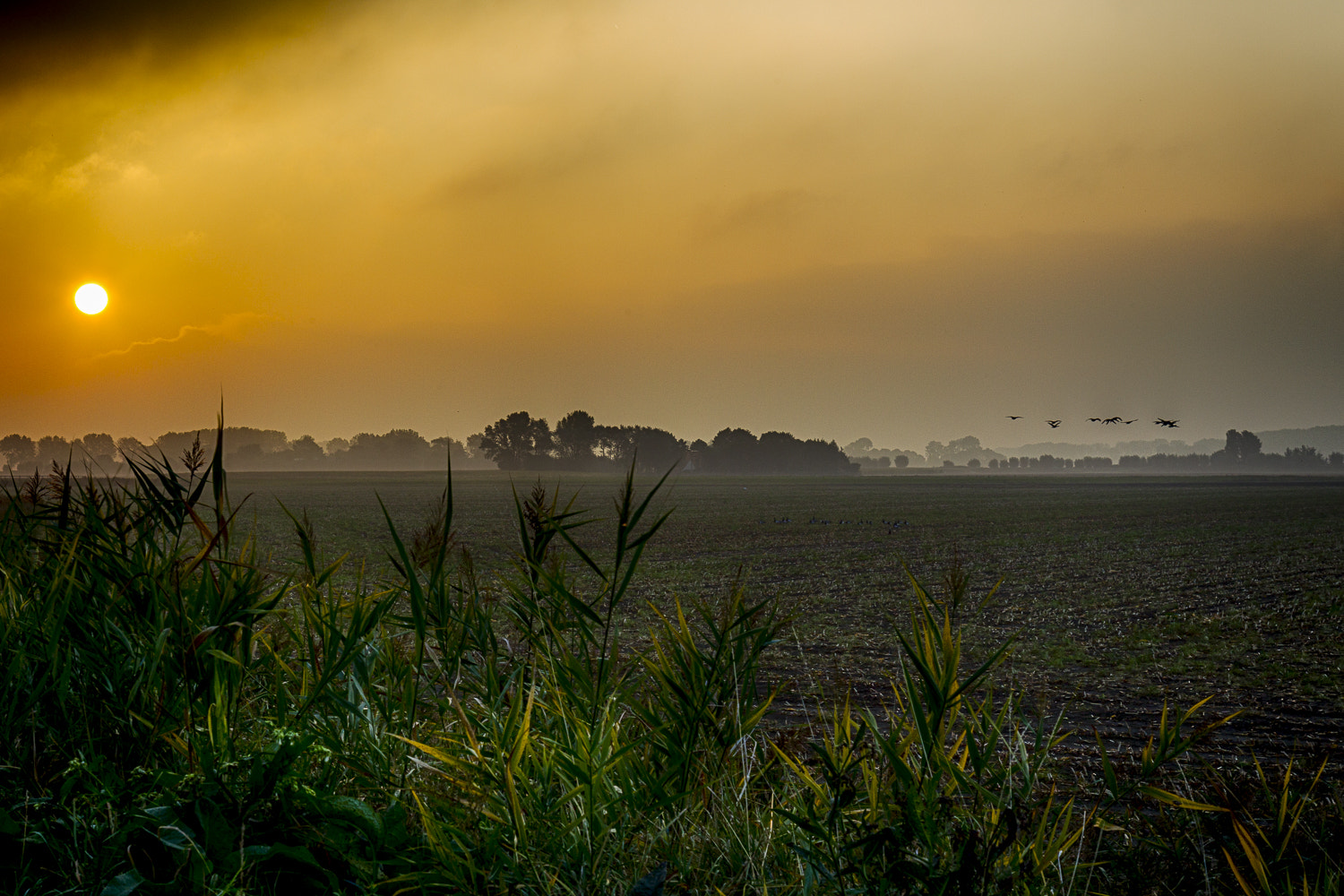 Canon EOS-1D Mark IV sample photo. Sonnenaufgang in cadzand  photography
