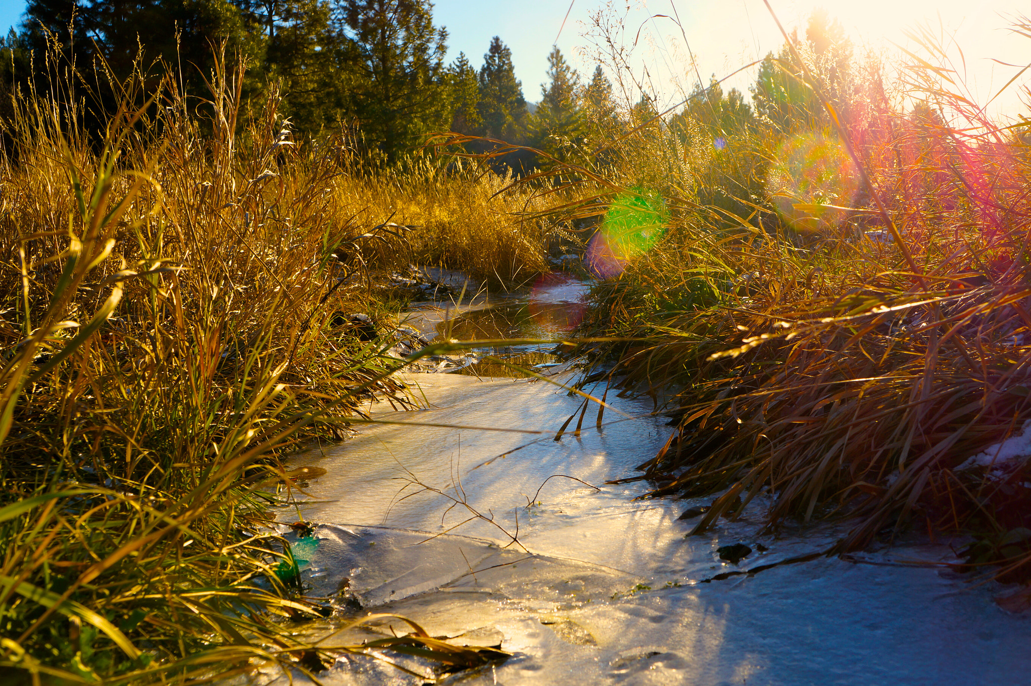 Sony Alpha a3000 + Tamron 18-200mm F3.5-6.3 Di III VC sample photo. Frozen stream photography