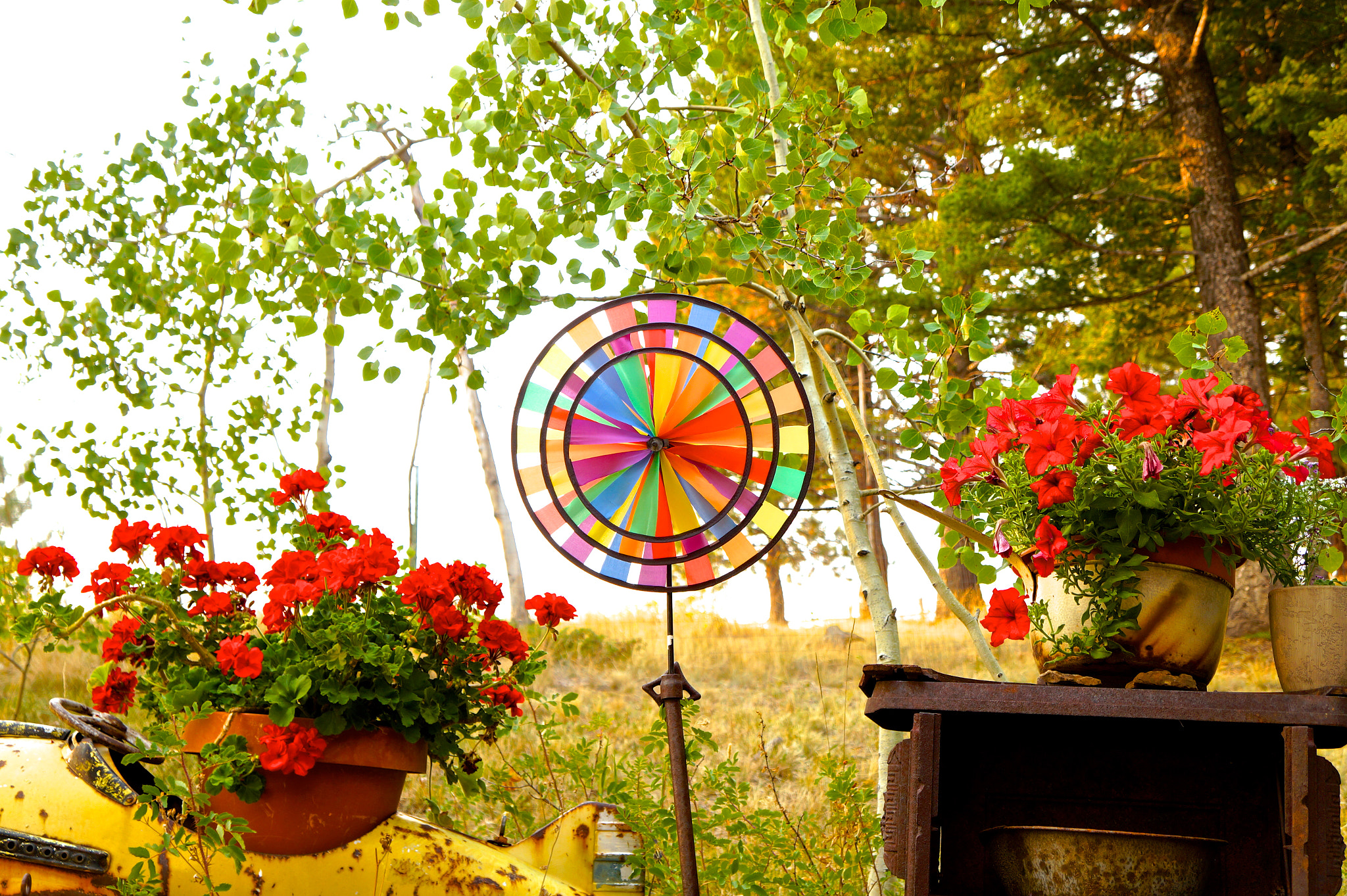 Tamron 18-200mm F3.5-6.3 Di III VC sample photo. Garden photography