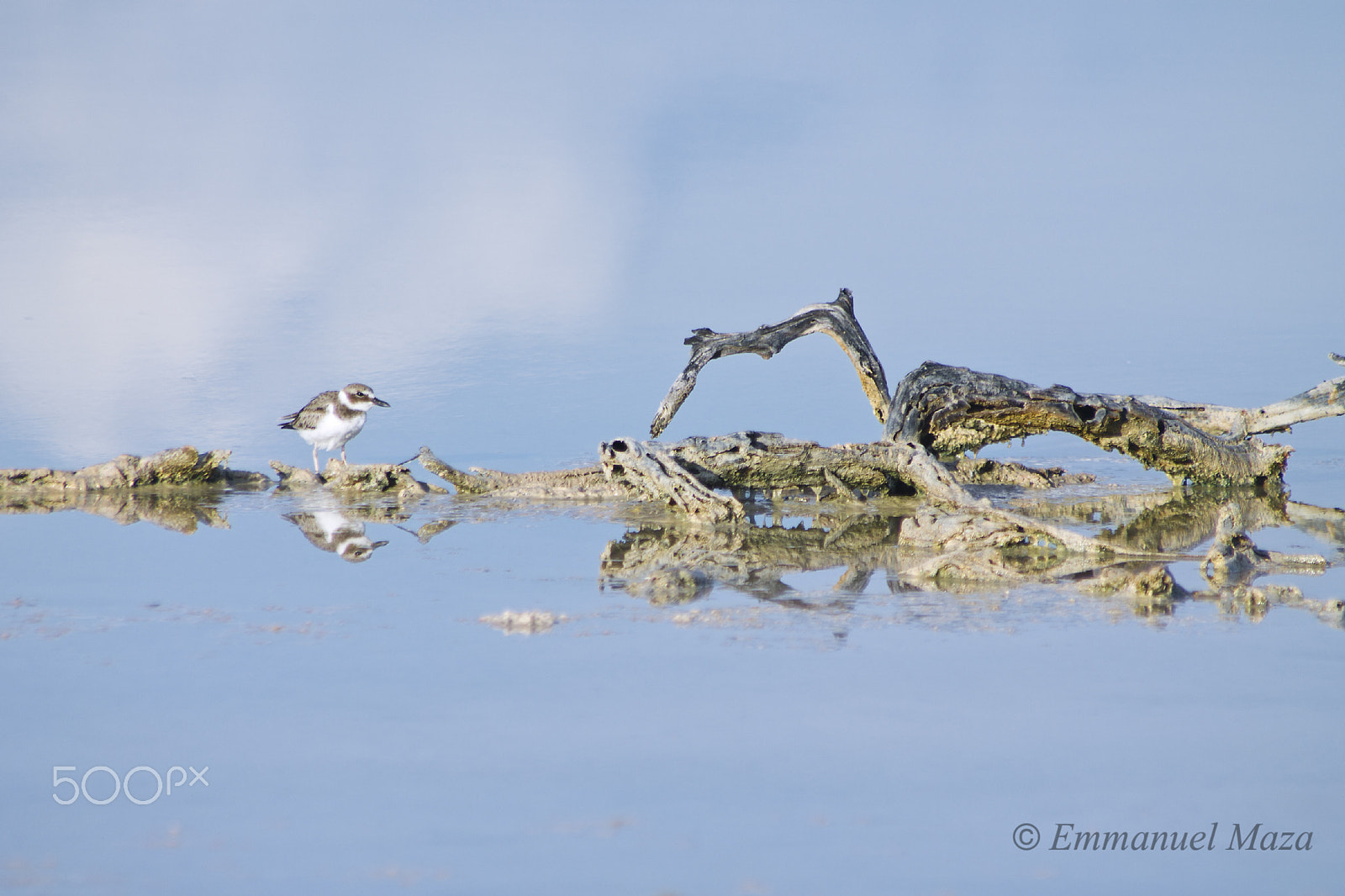 Sigma 70-300mm F4-5.6 APO DG Macro sample photo. Reflection photography