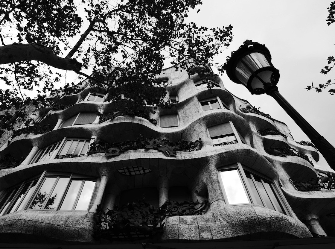Panasonic Lumix G Vario 7-14mm F4 ASPH sample photo. Barcelona 3 photography