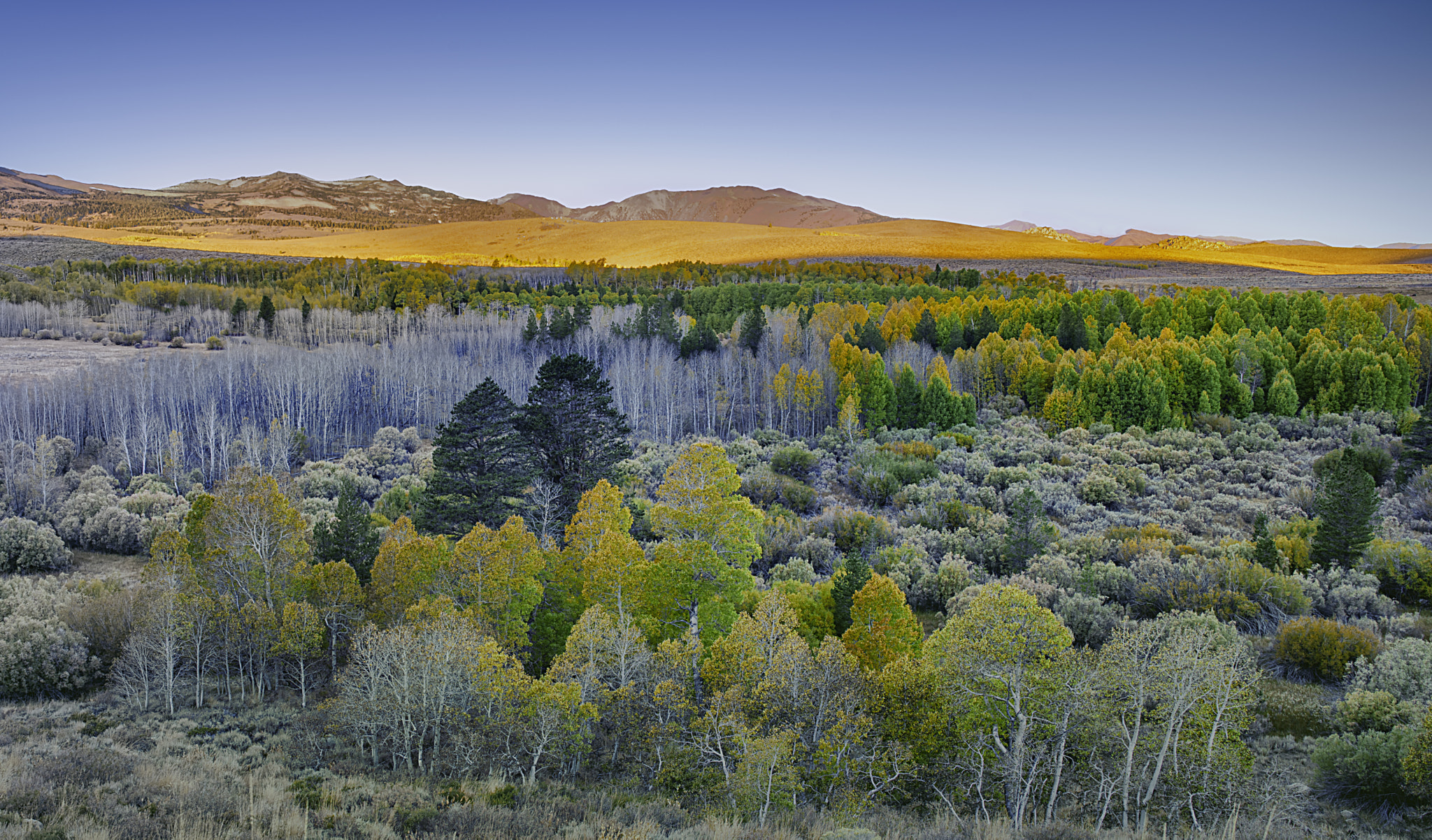 Sony a7R II + Canon EF 24-70mm F4L IS USM sample photo. Wilderness photography