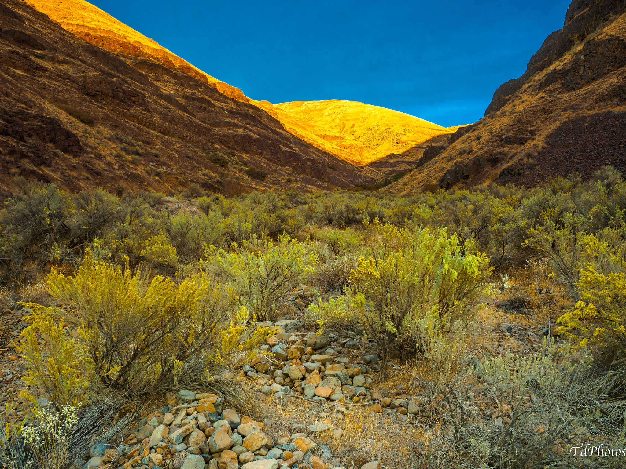 Olympus OM-D E-M1 + Panasonic Lumix G Vario 7-14mm F4 ASPH sample photo. Outside of maupin oregon photography