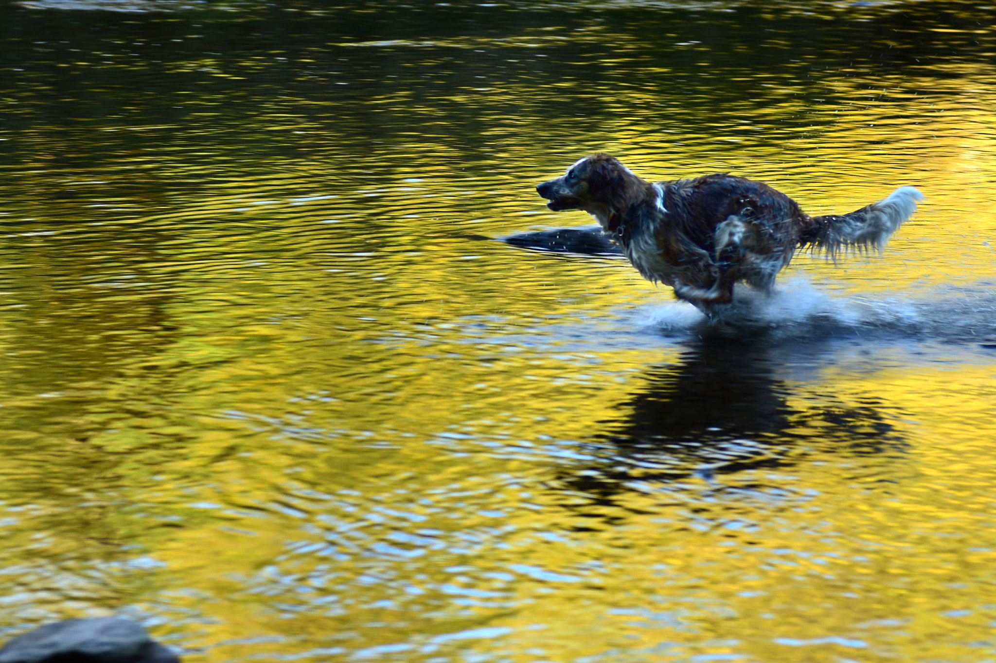 Nikon AF-S Nikkor 24-70mm F2.8G ED sample photo