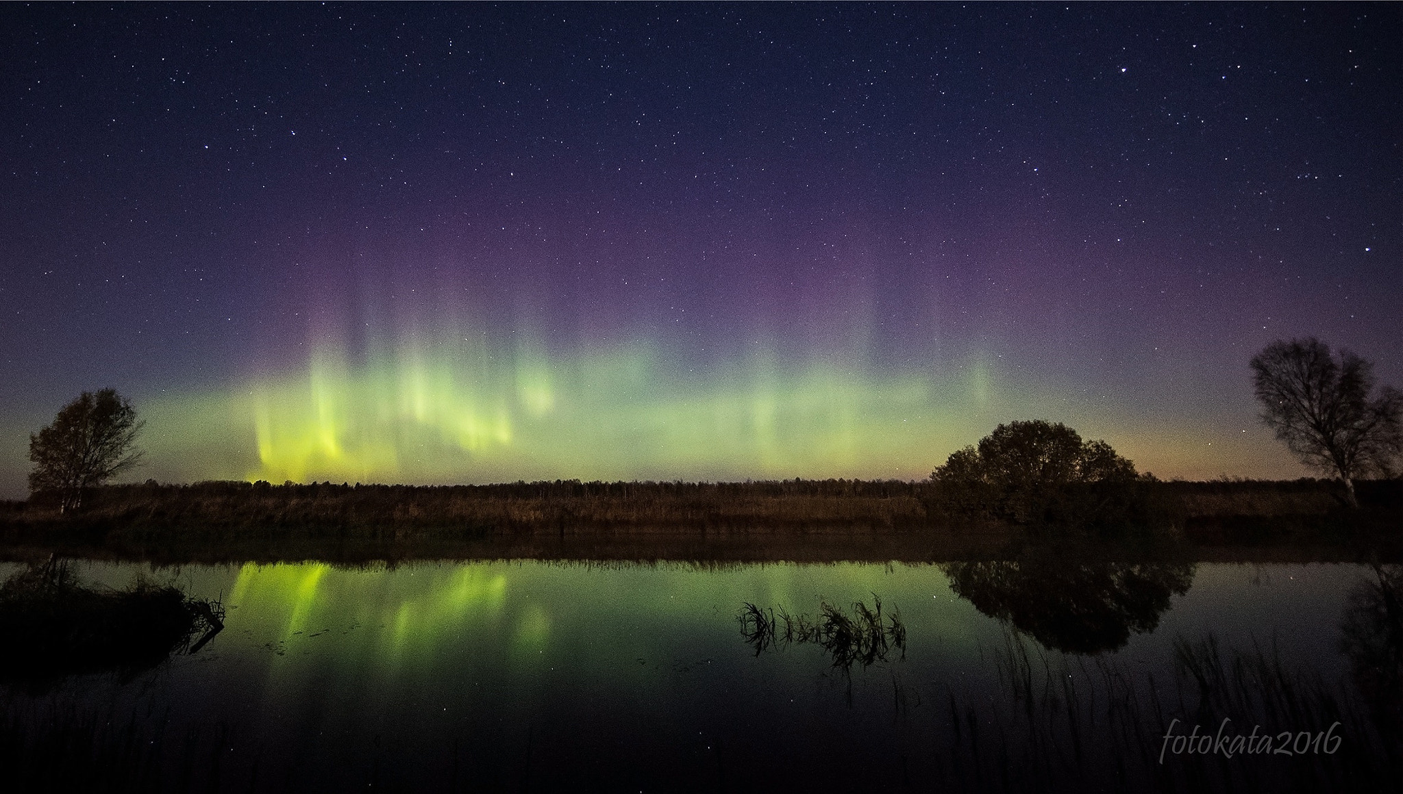 Canon EF 11-24mm F4L USM sample photo. Auroras photography