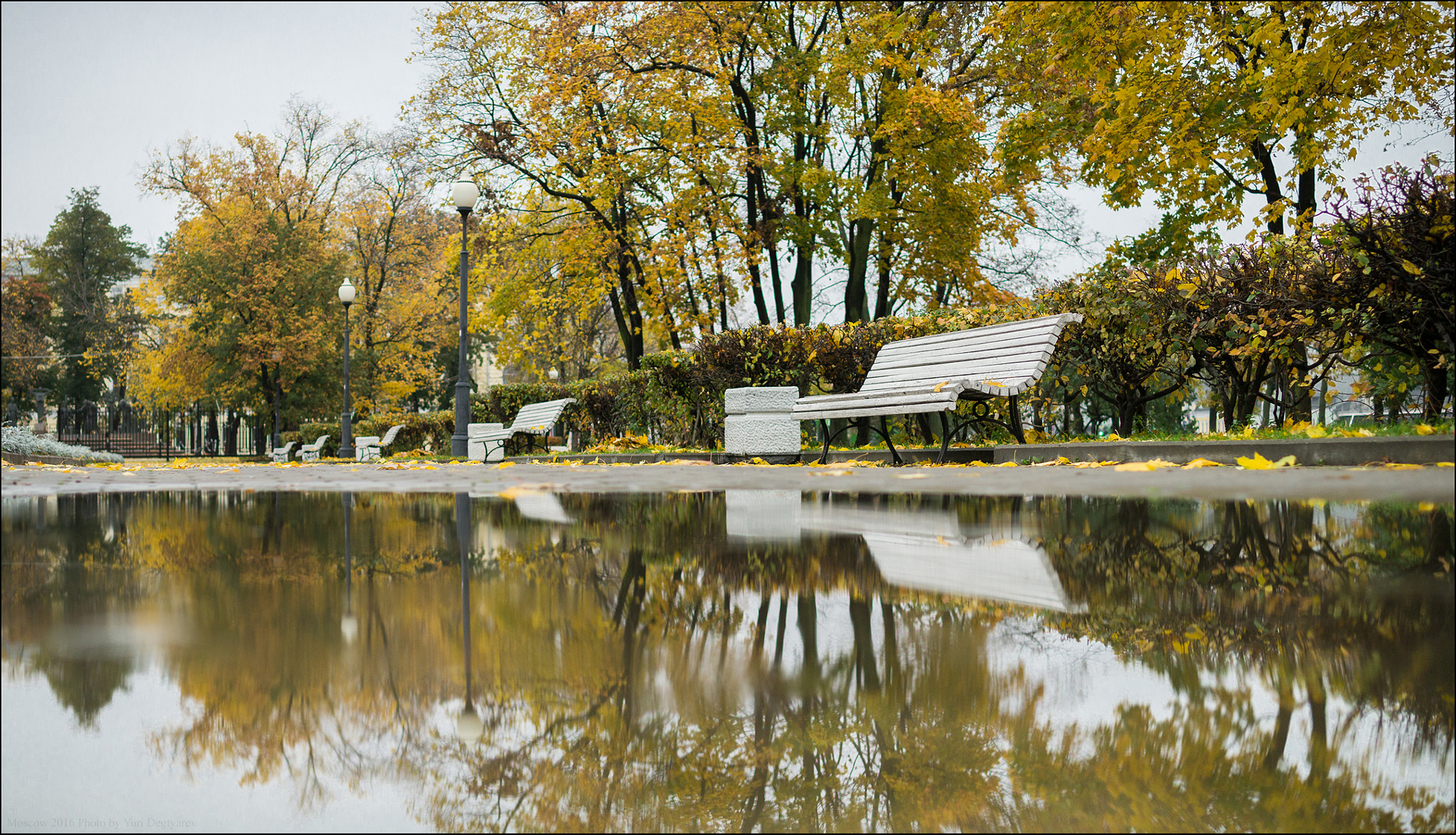 Panasonic Lumix DMC-G3 + Panasonic Leica DG Summilux 25mm F1.4 II ASPH sample photo. Russia. moscow. autumn on bolotnaya square. photography