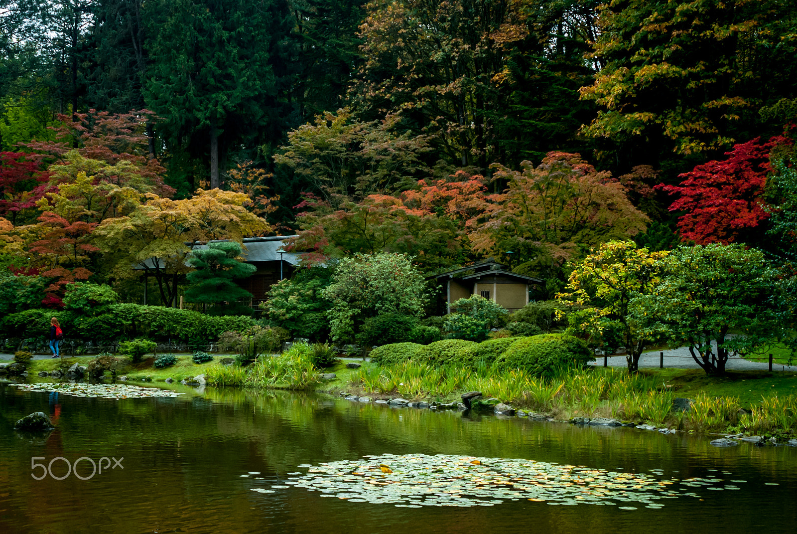 Sigma 28-105mm F2.8-4 Aspherical sample photo. Japanese garden photography