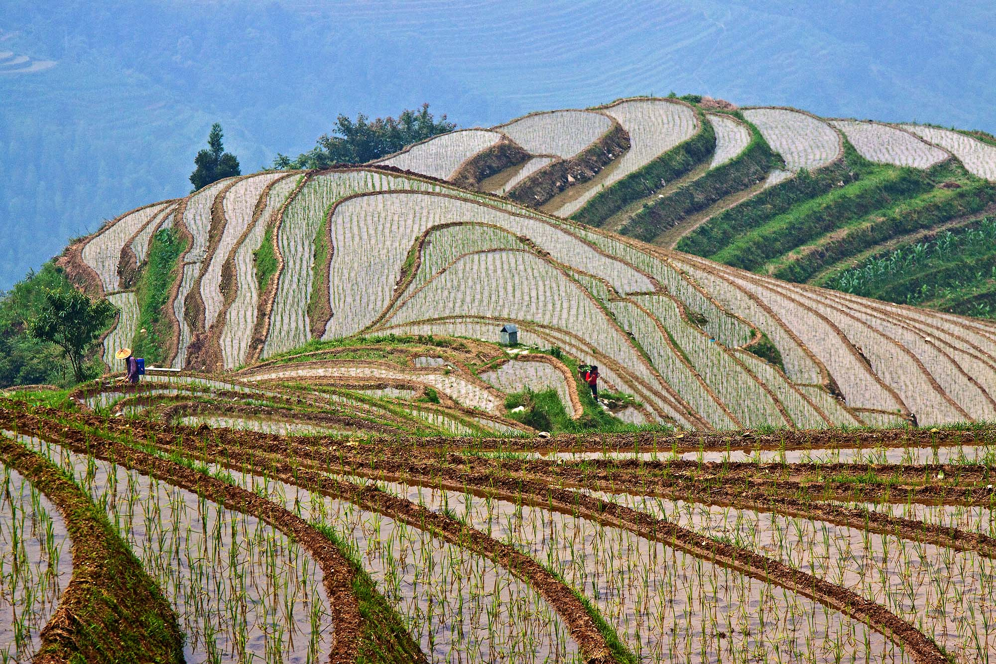 Canon EOS 50D + Canon EF 70-200mm F4L IS USM sample photo. Longsheng, china photography