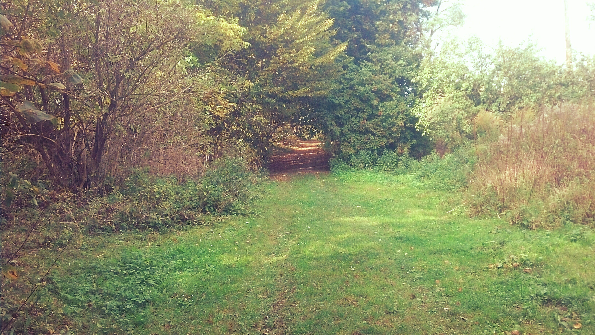 Motorola DROID RAZR sample photo. Travel photography