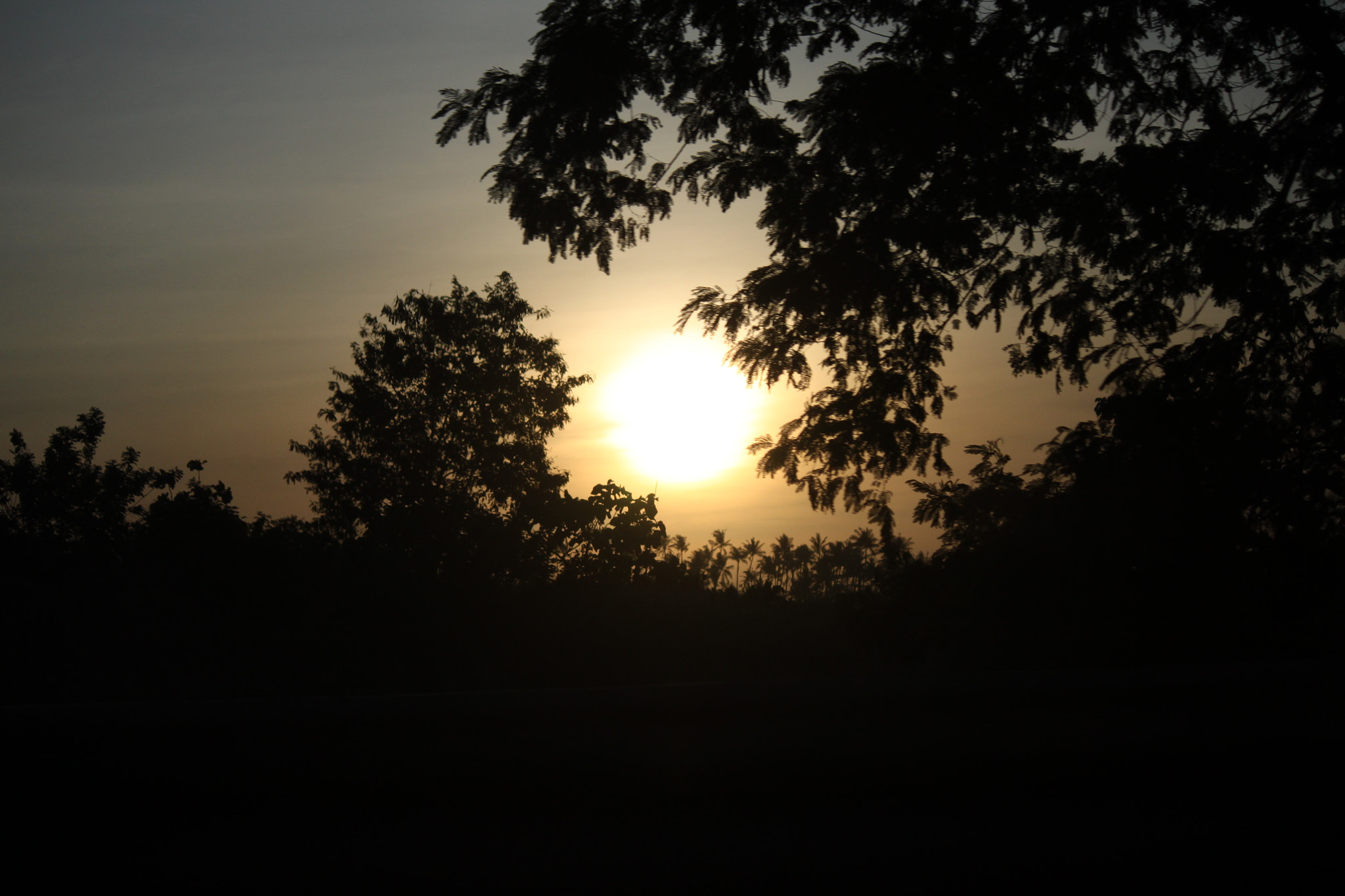 Canon EOS 500D (EOS Rebel T1i / EOS Kiss X3) sample photo. Dark grasping gold photography