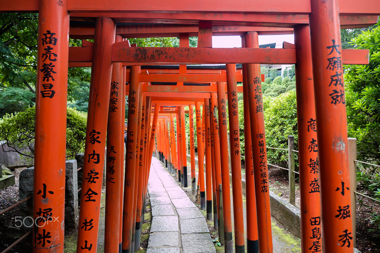 Panasonic Lumix DMC-GX7 sample photo. Wish the archway photography