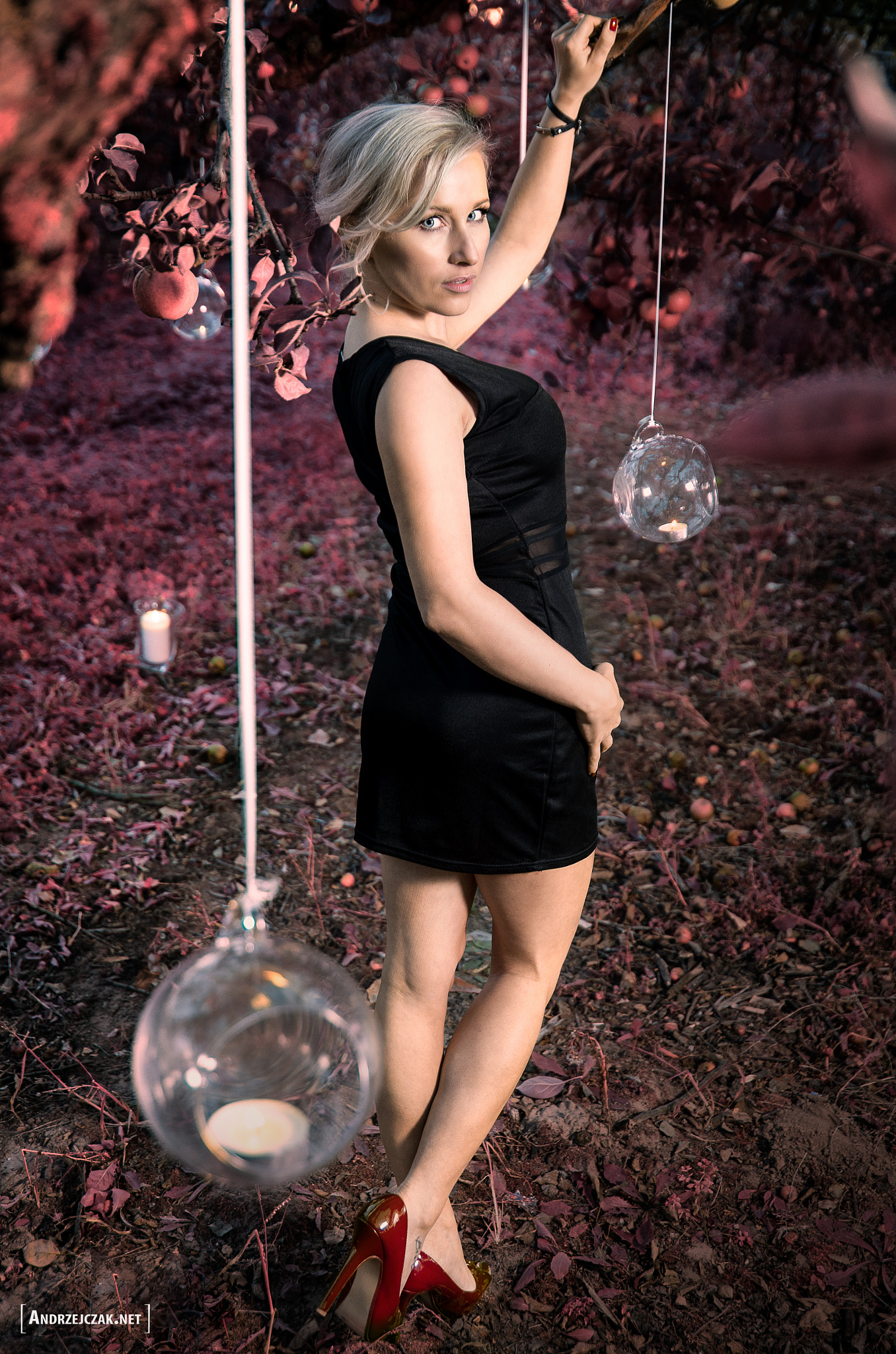 Tamron AF 28-75mm F2.8 XR Di LD Aspherical (IF) sample photo. Alina photography
