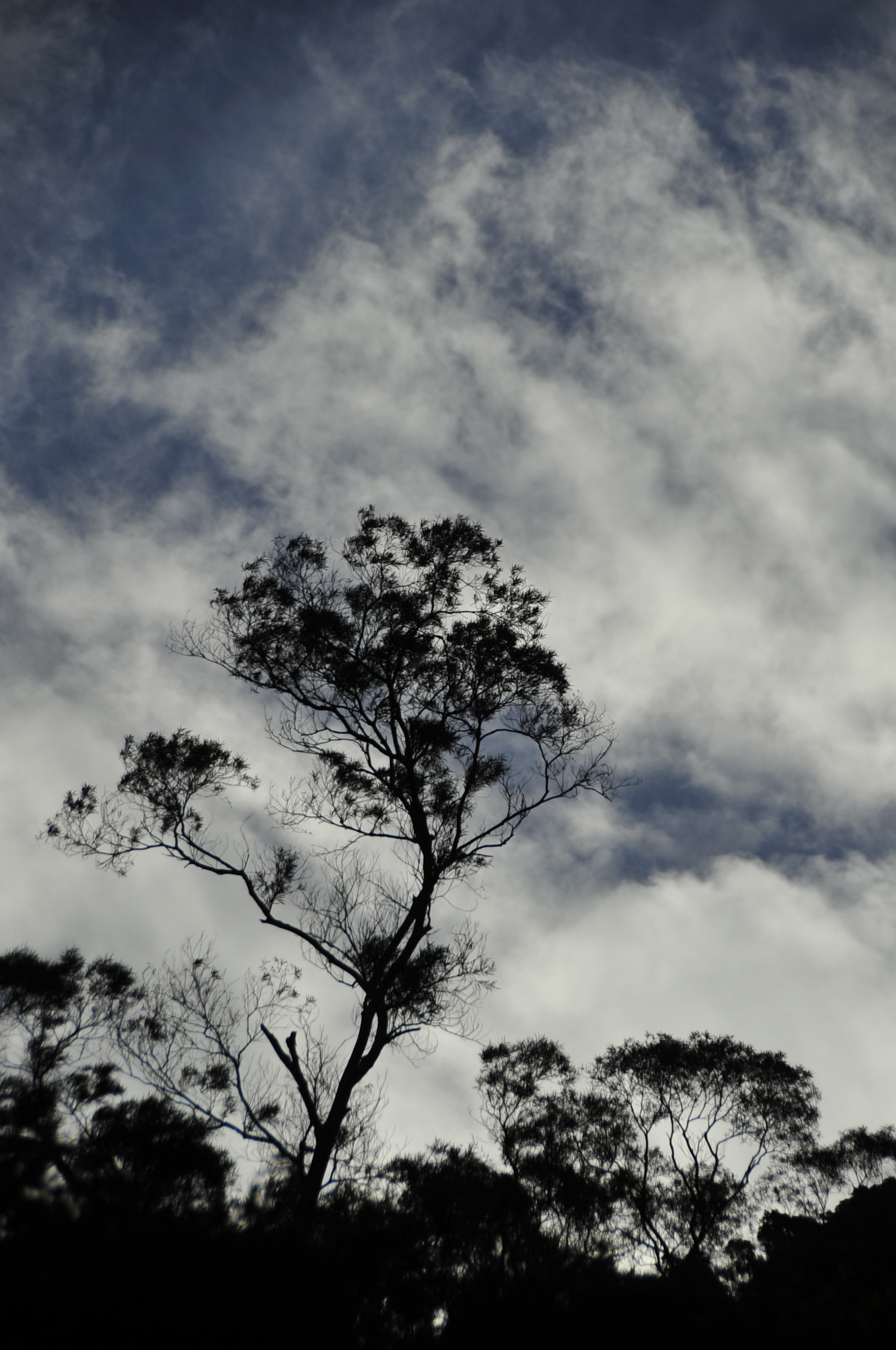 Nikon D3 sample photo. .. photography