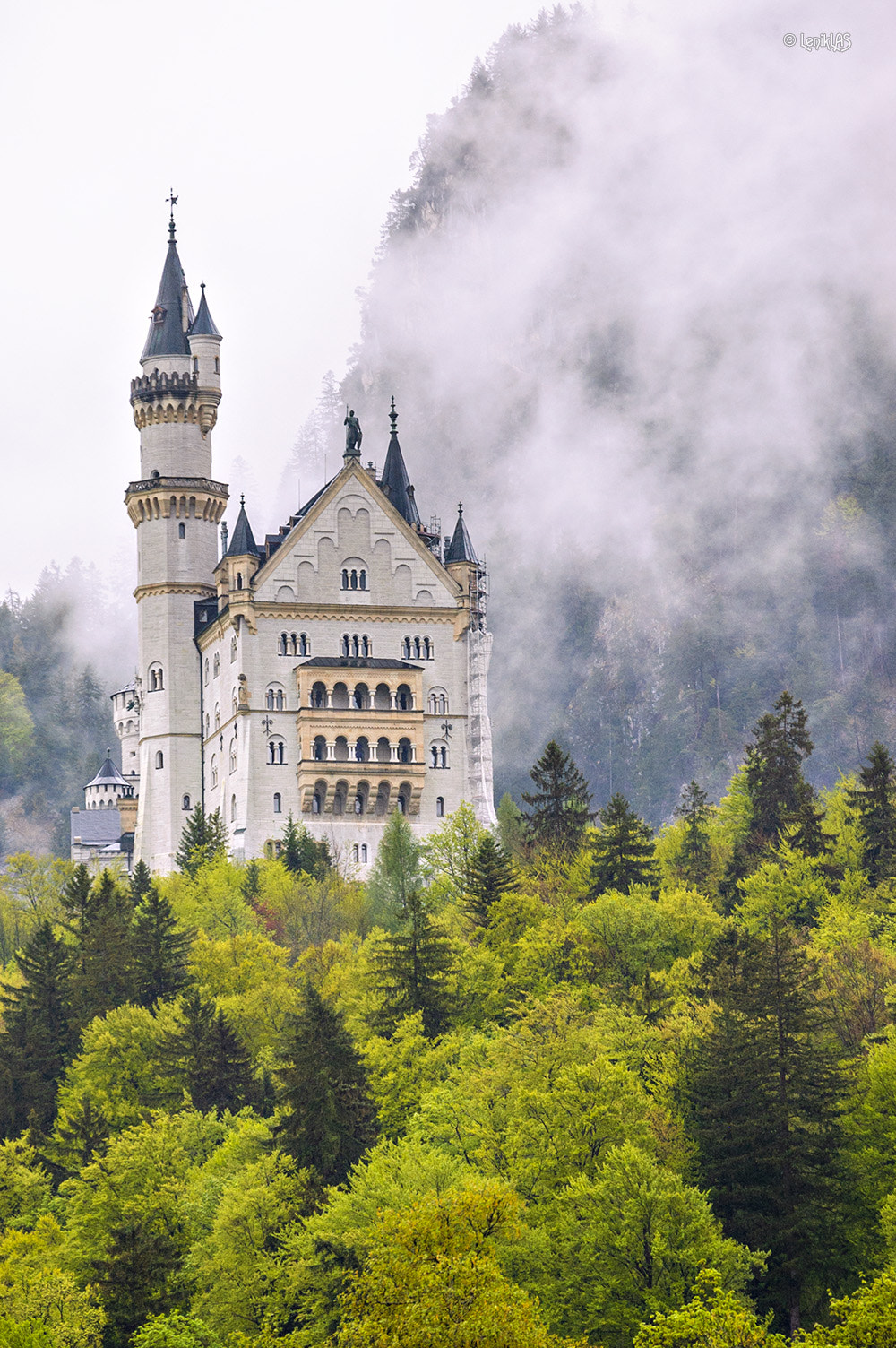 Nikon D50 sample photo. Neuschwanstein castle  photography
