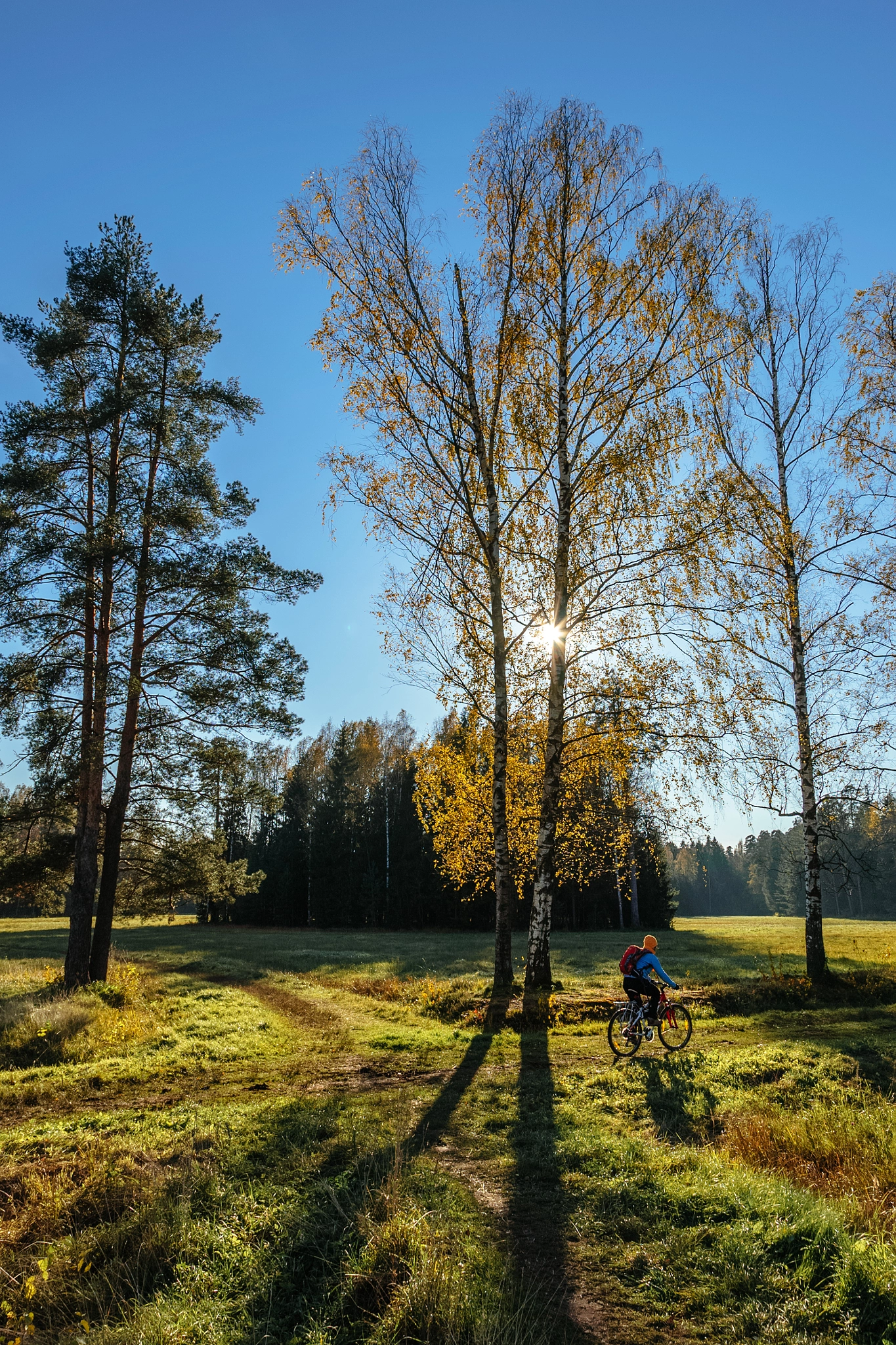 Sony a7S + Sony 70-400mm F4-5.6 G SSM sample photo. Fall in pavlovsk photography