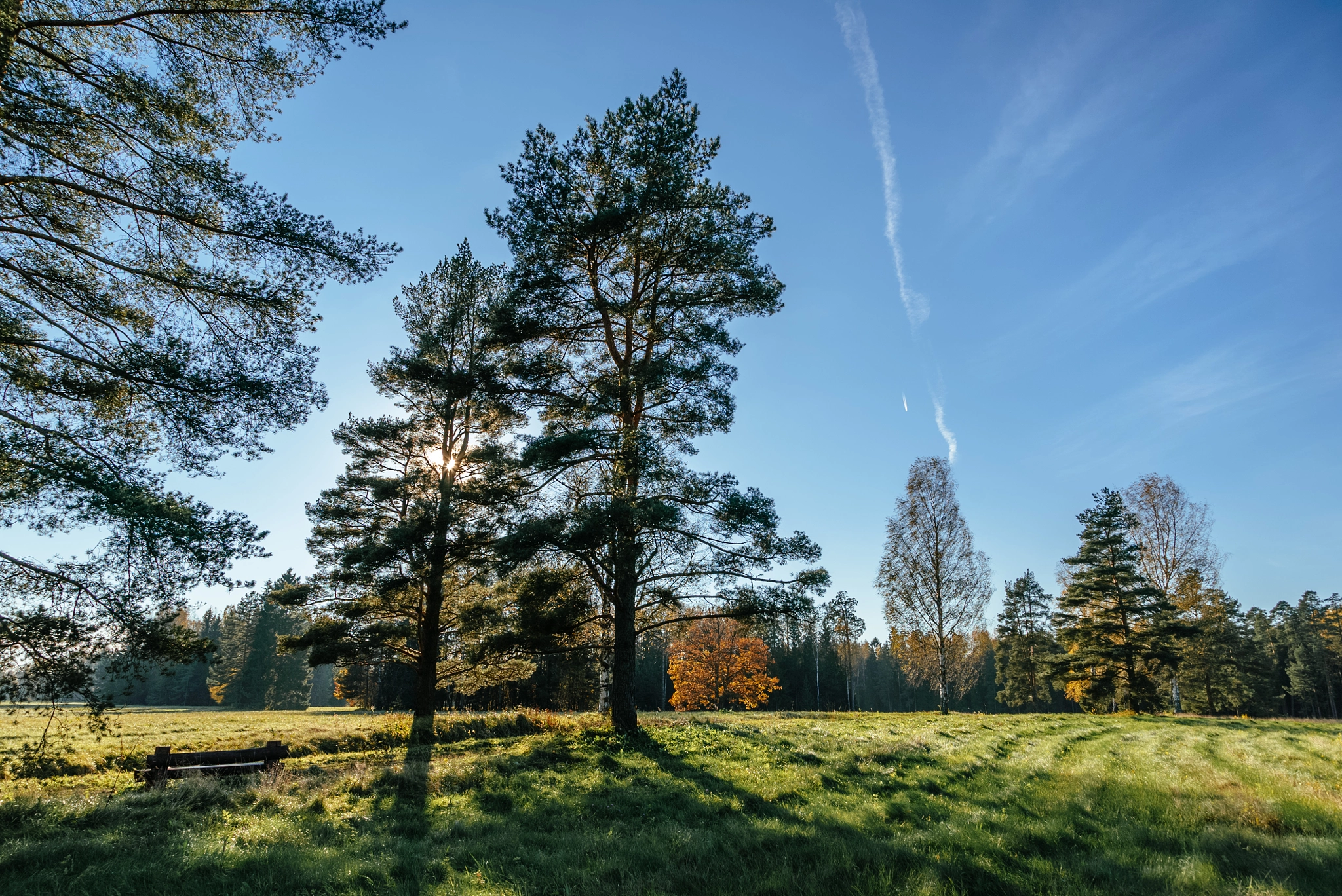 Sony a7S + Sony 70-400mm F4-5.6 G SSM sample photo. Fall in pavlovsk photography