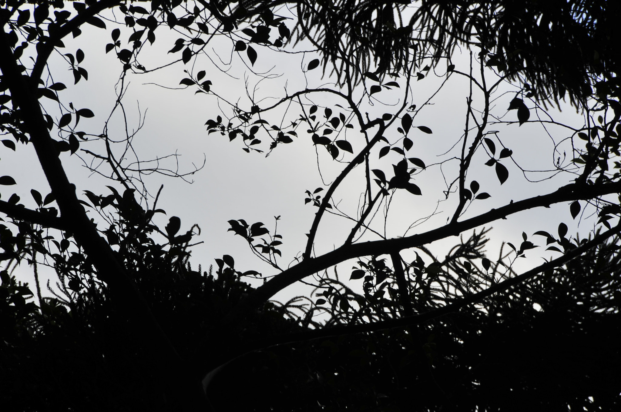 Nikon D3 sample photo. .. photography