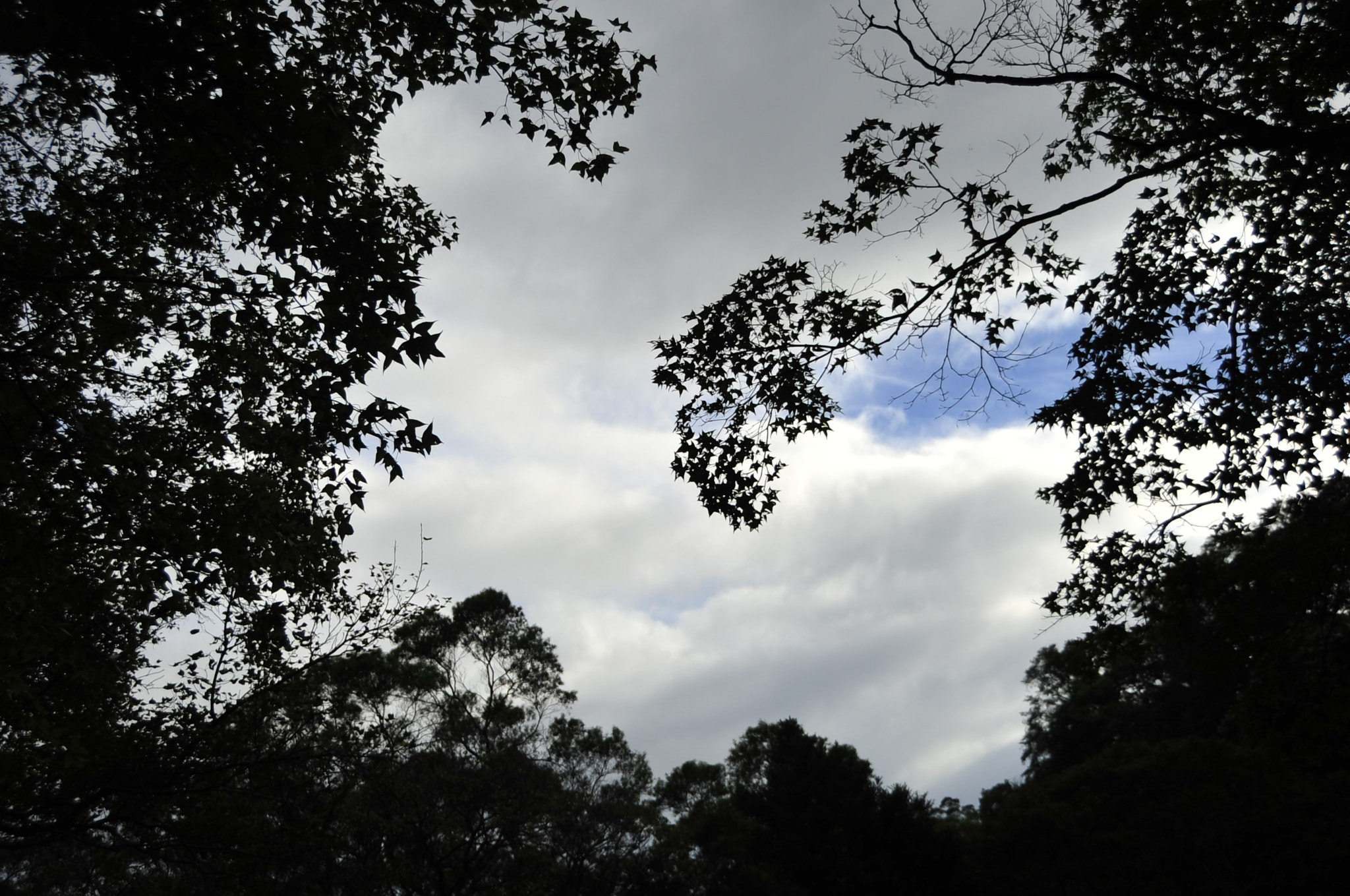 Nikon D3 sample photo. .. photography