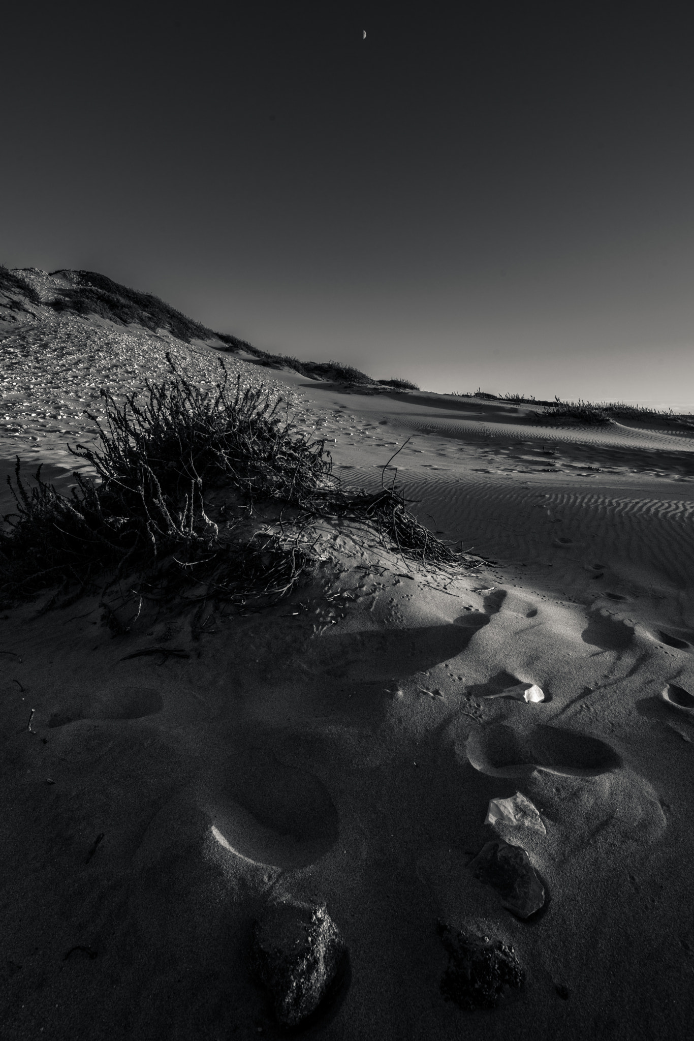 Canon TS-E 17mm F4L Tilt-Shift sample photo. Monochrome #8 photography