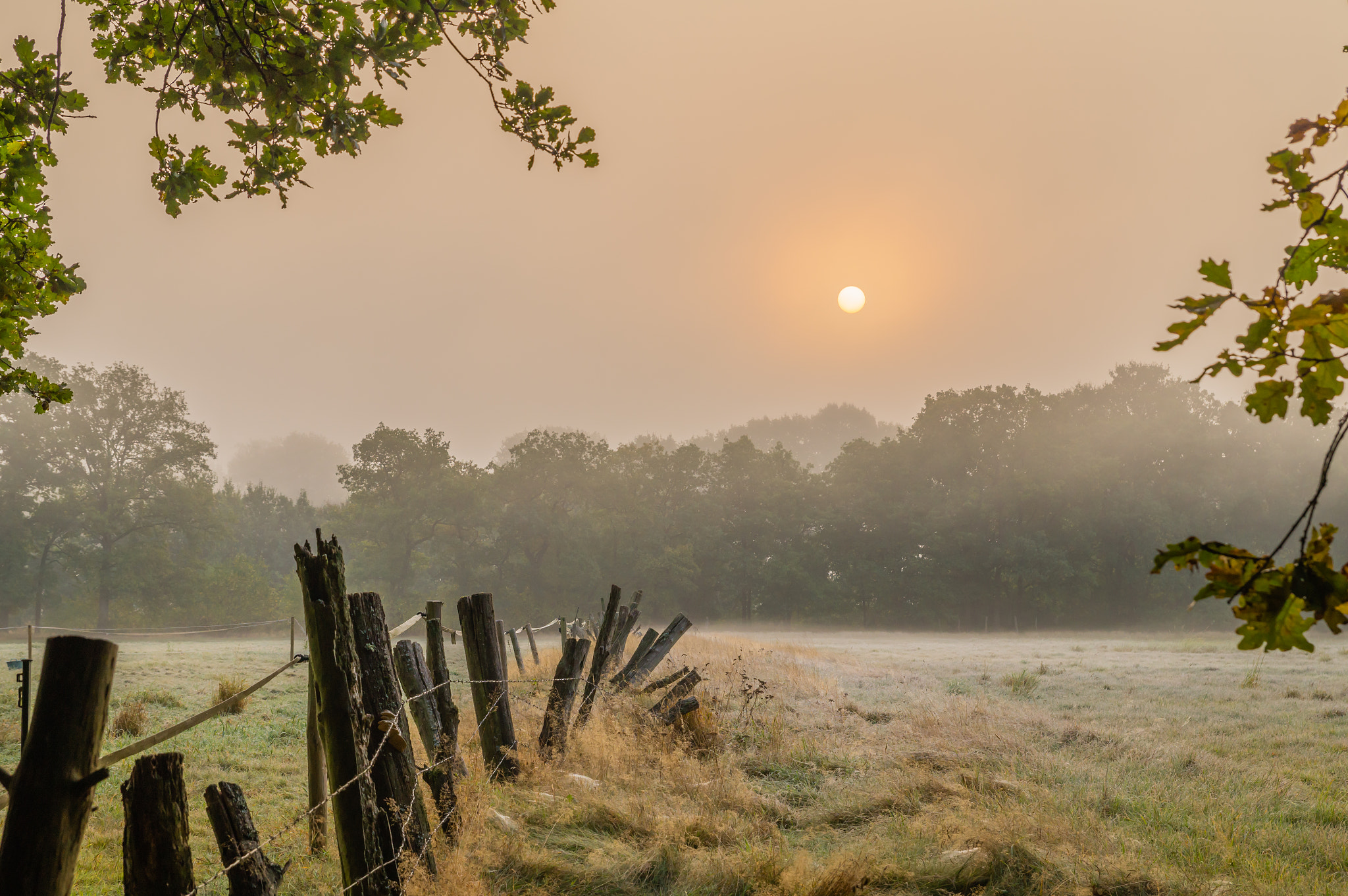 Sony SLT-A58 sample photo. October morning photography