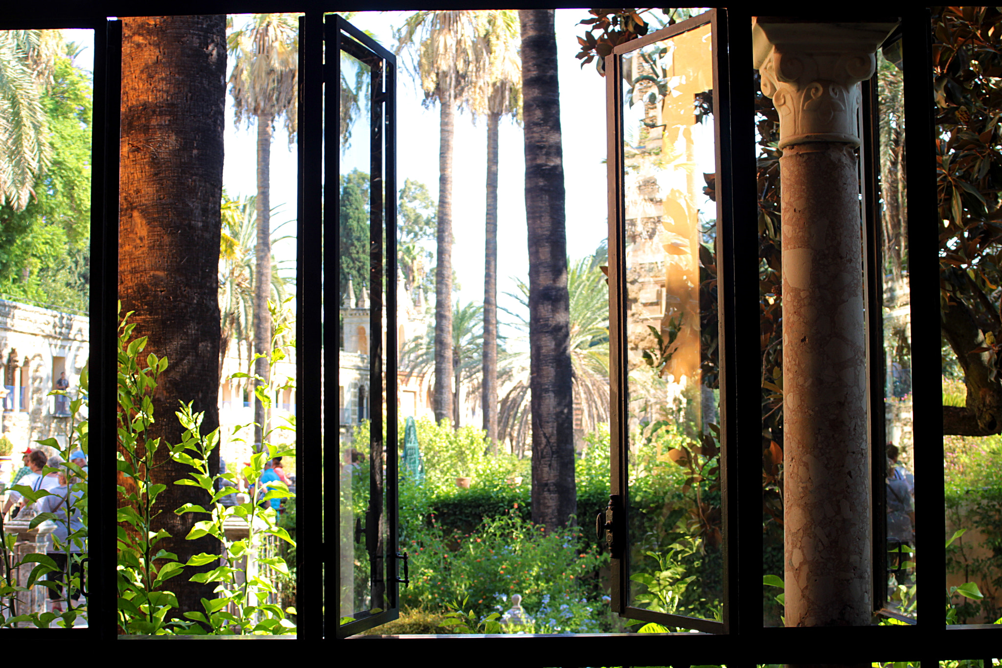 Canon EF 35-80mm f/4-5.6 sample photo. Out of the window photography
