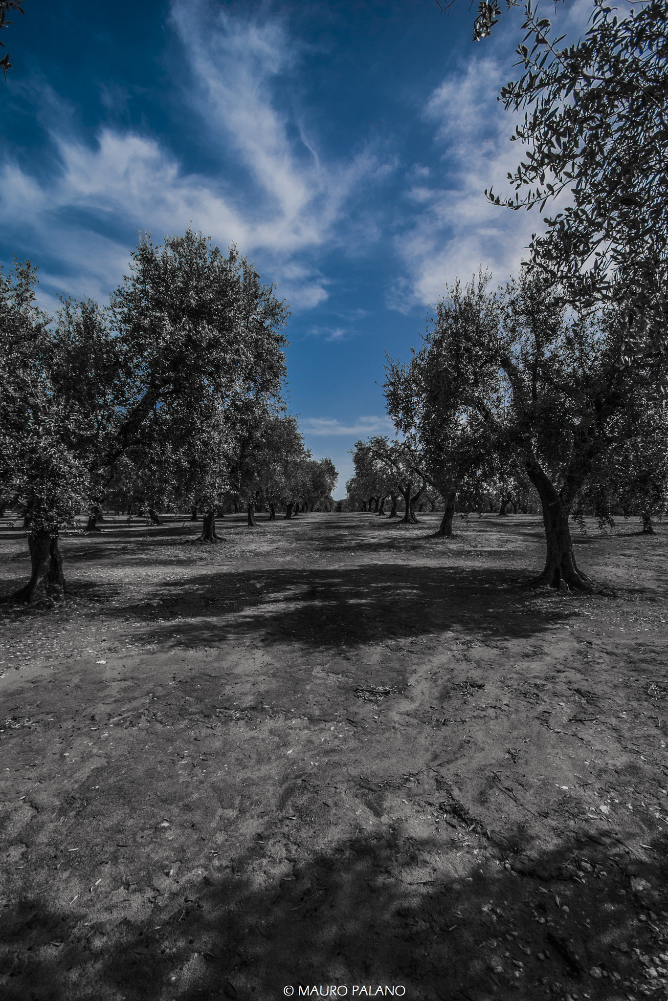 Sigma 10-20mm F4-5.6 EX DC HSM sample photo. Let the sky fall © mauro palano photography