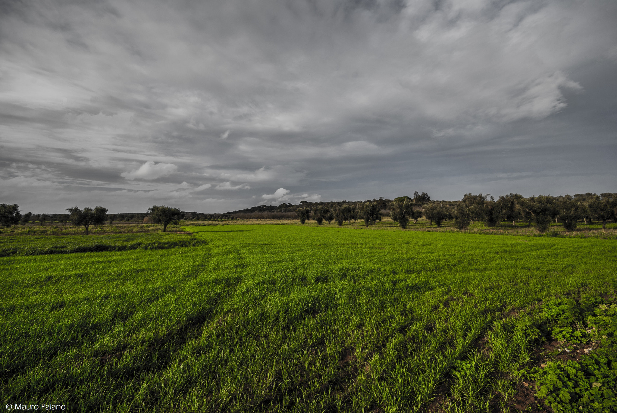 Sigma 10-20mm F4-5.6 EX DC HSM sample photo. Clouds - nuvole © mauro palano photography