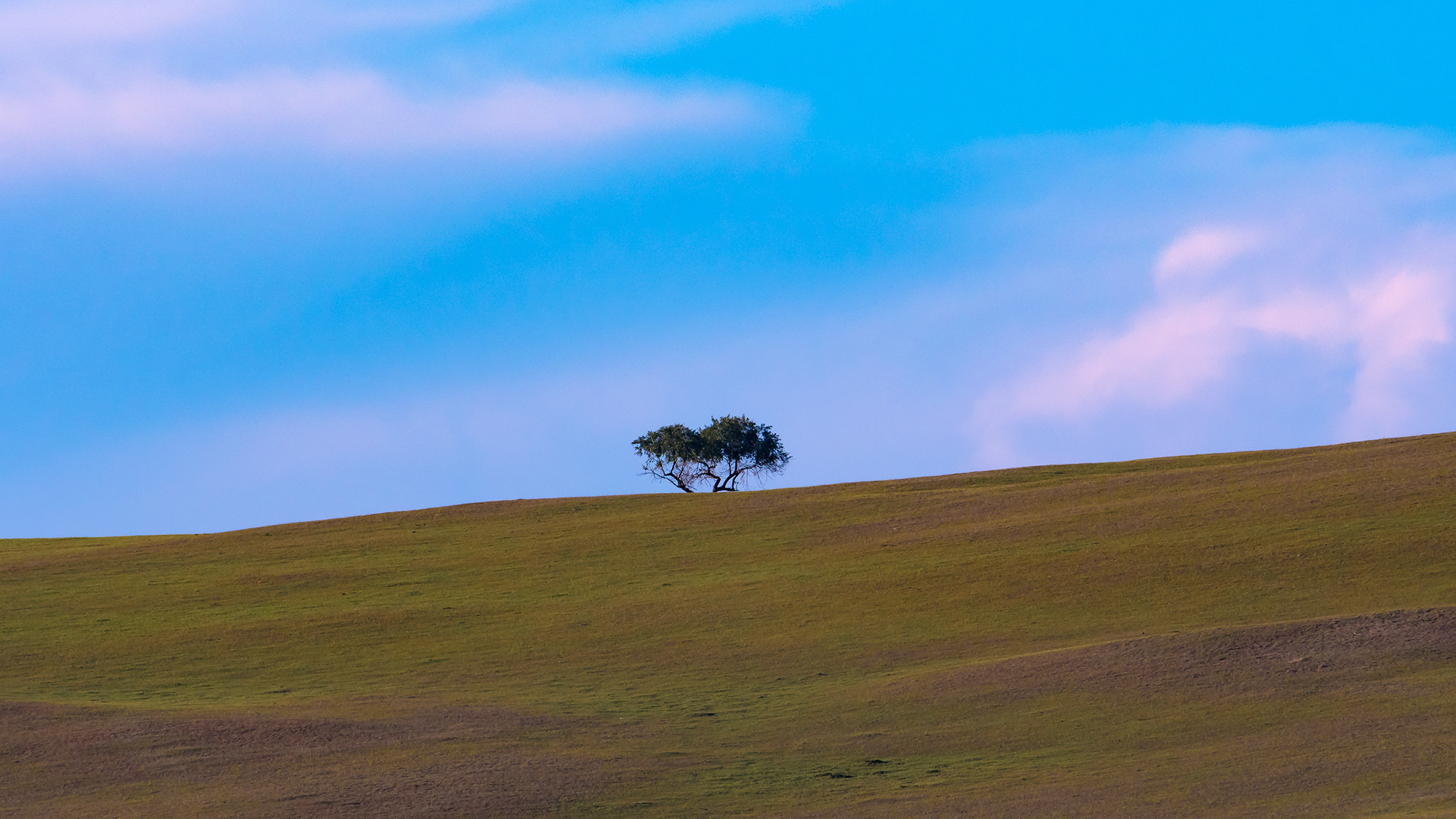 Nikon AF-S Nikkor 600mm F4D ED-IF II sample photo