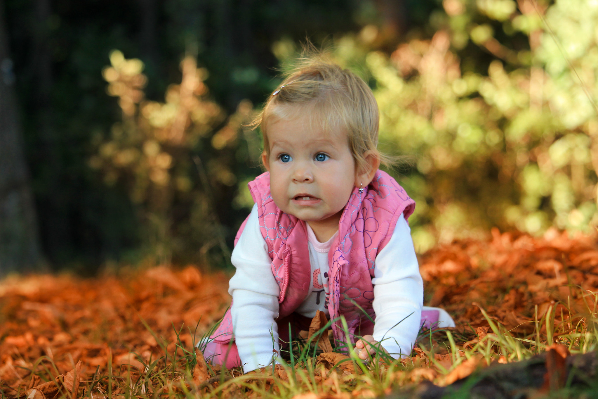 Canon EF-S 55-250mm F4-5.6 IS STM sample photo. First autumn, babygirl photography