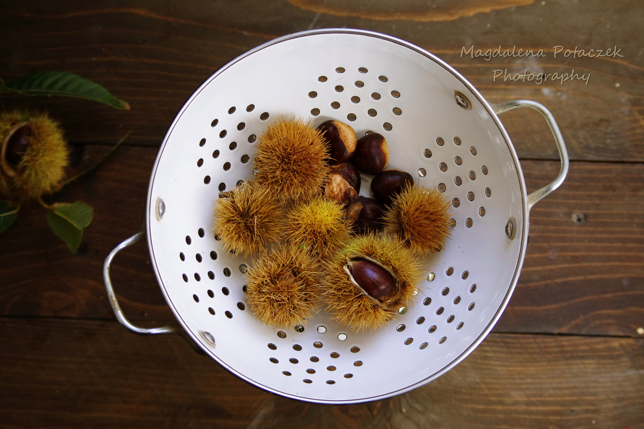 Pentax K-r + smc PENTAX-DA L 50-200mm F4-5.6 ED sample photo. Sweet chestnuts photography