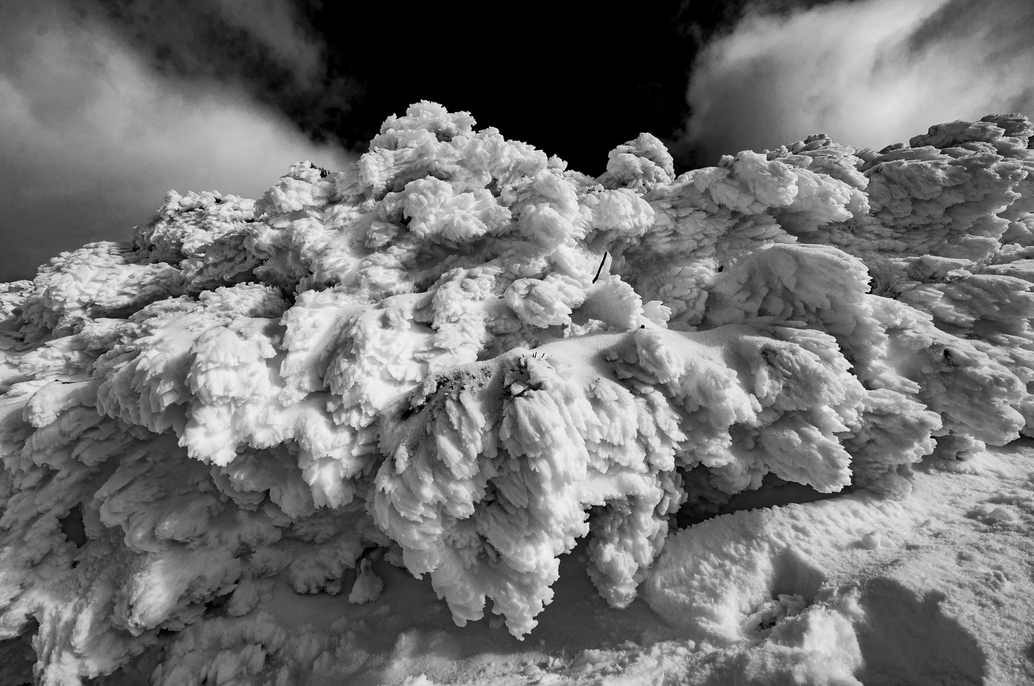 Nikon D90 sample photo. Eruption photography