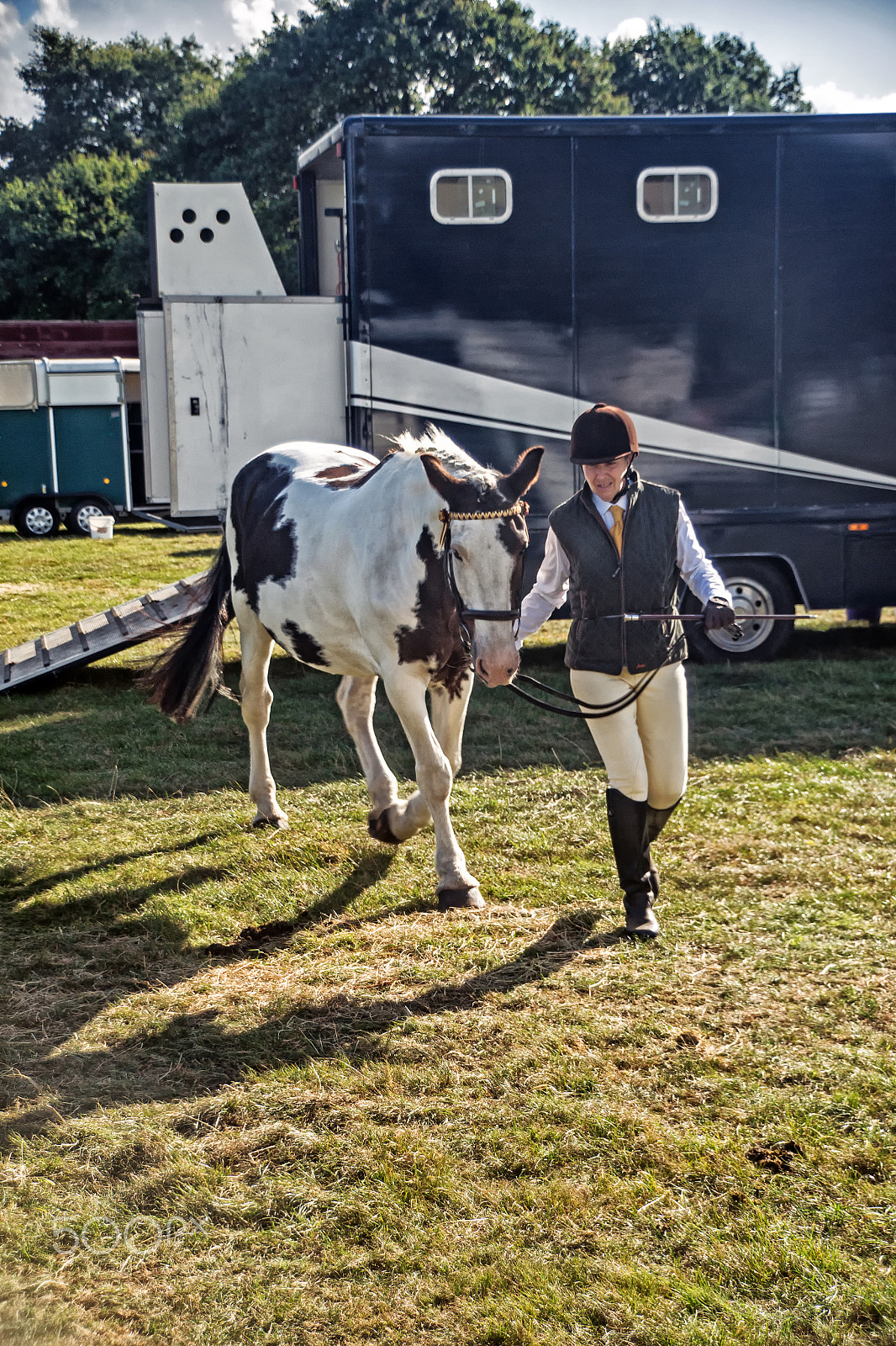 Sony a7R sample photo. Dressage compotition day photography