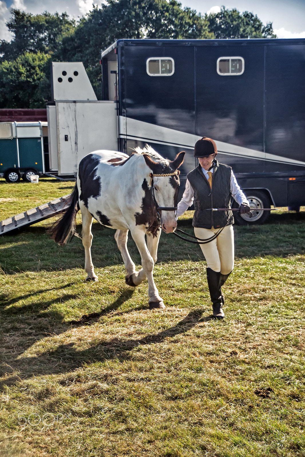 Sony DT 18-250mm F3.5-6.3 sample photo. Dressage compotition day photography