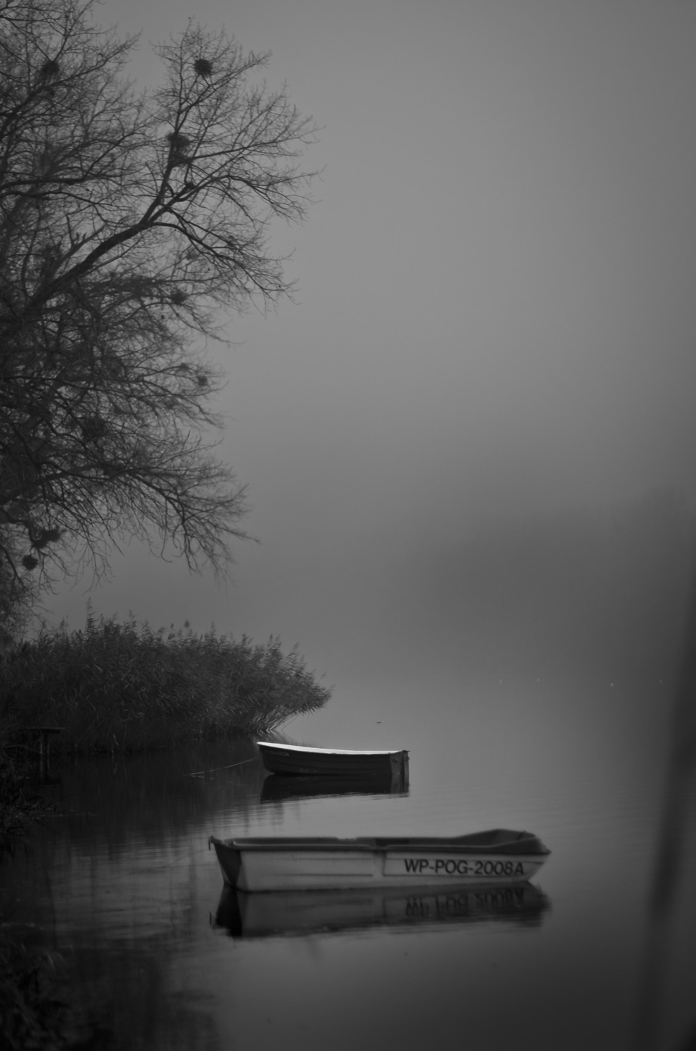 Pentax K-5 sample photo. Fog photography